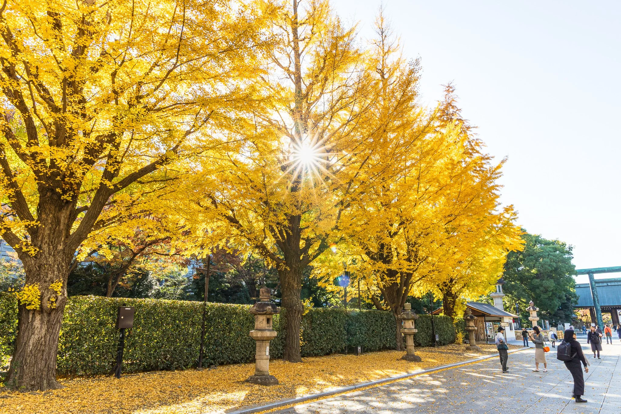 F19A1967_yasukuni-shrine.jpg