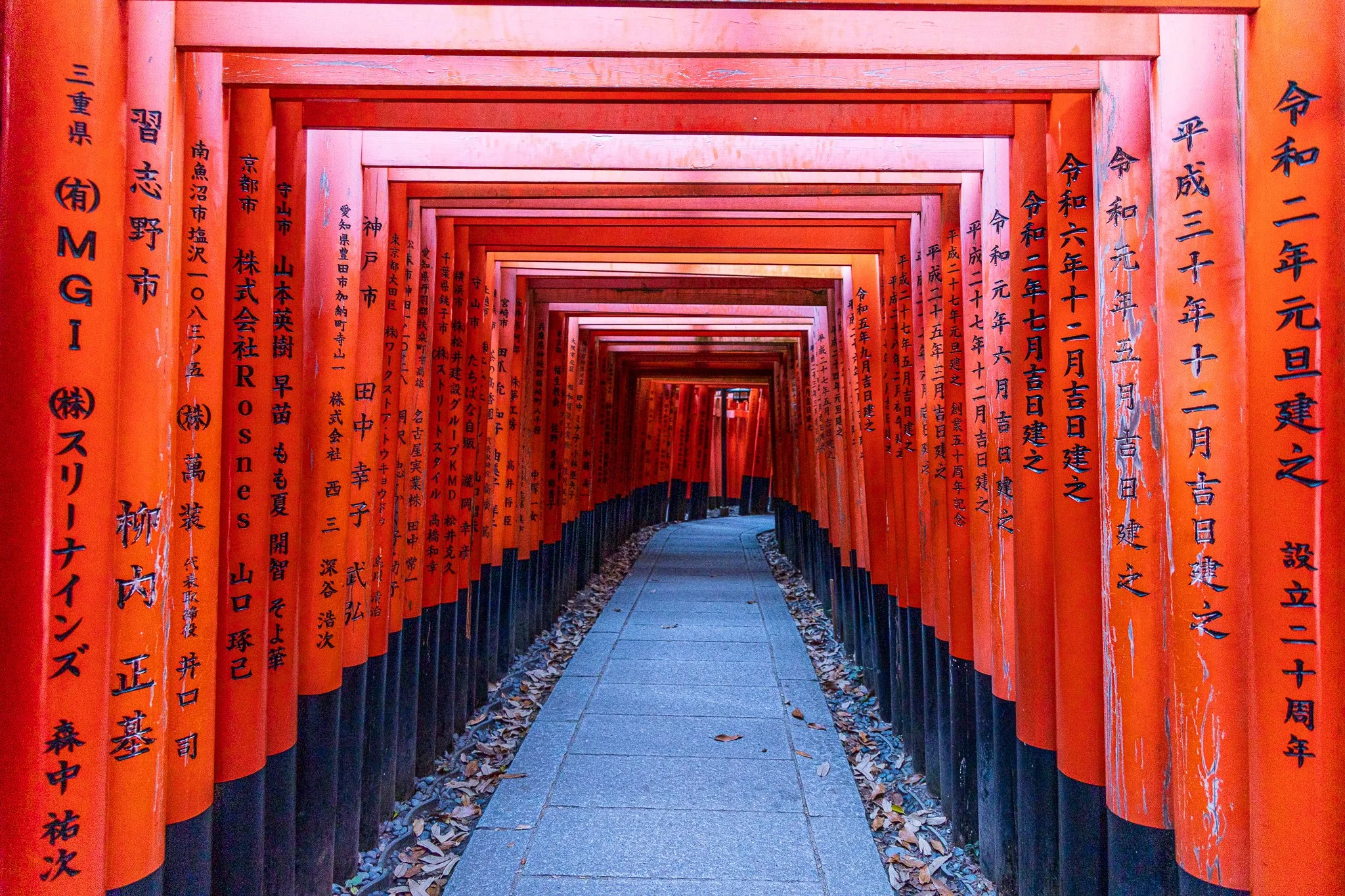 F19A4248_fushimi-inari-taisha.jpg