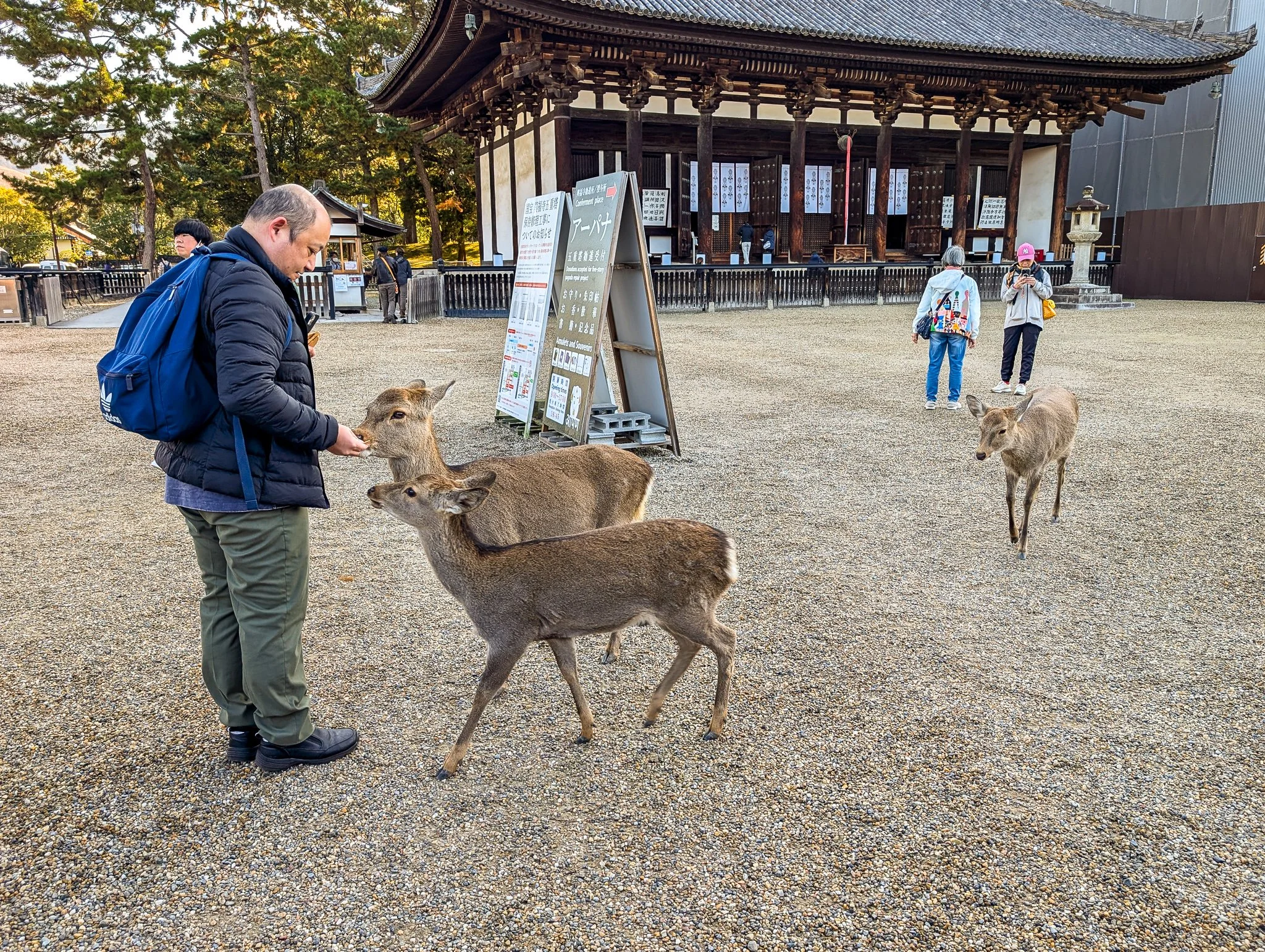 PXL_20251130_004333195_kofuku-ji.jpg