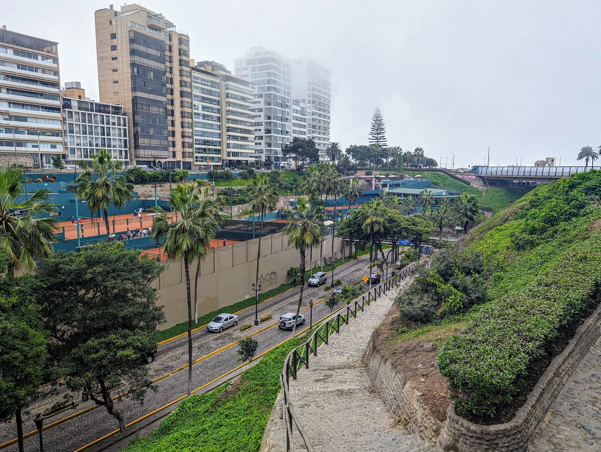 PXL_20240622_175159183_miraflores.jpg