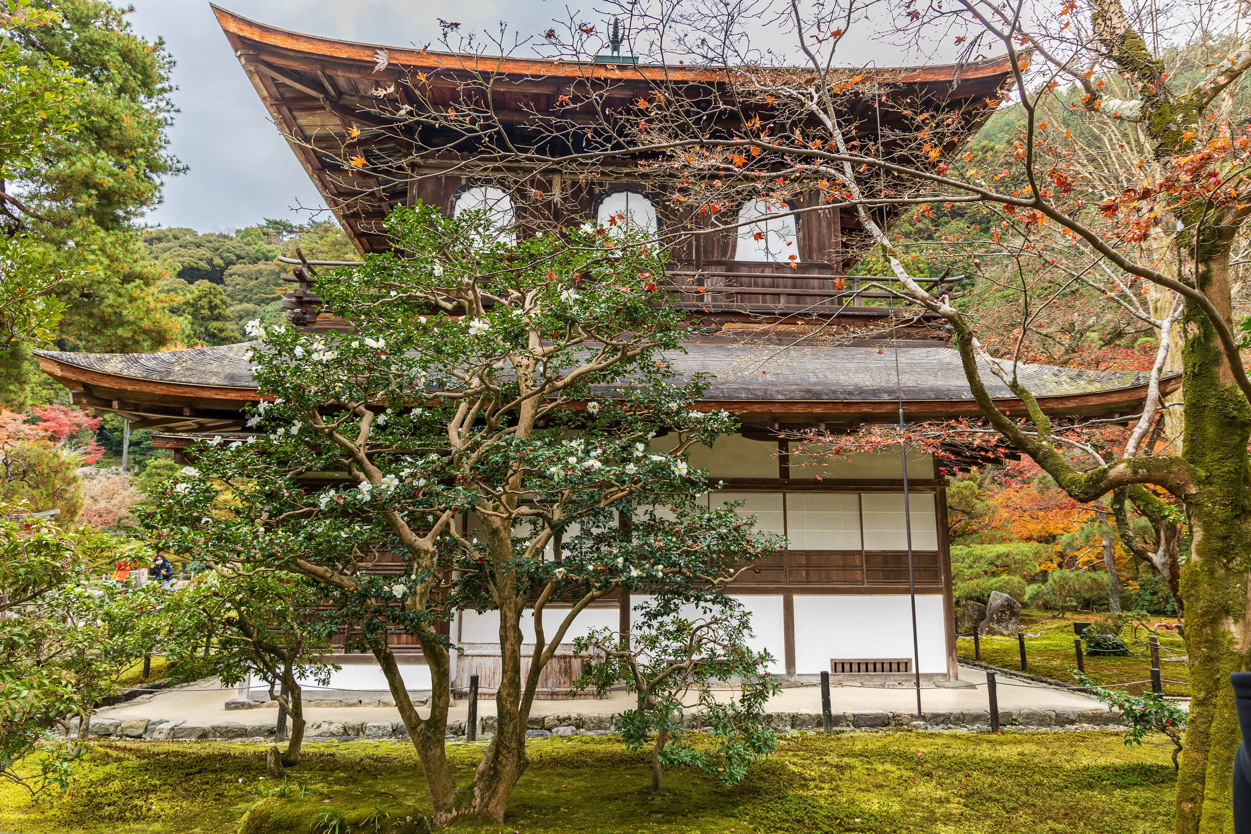 F19A4774_ginkaku-ji.jpg