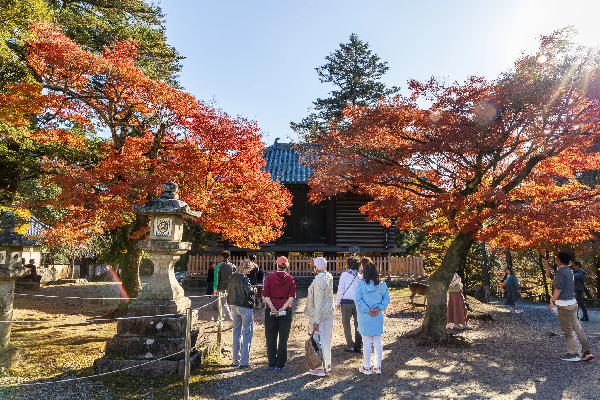 F19A3636_todai-ji-hokke-do.jpg
