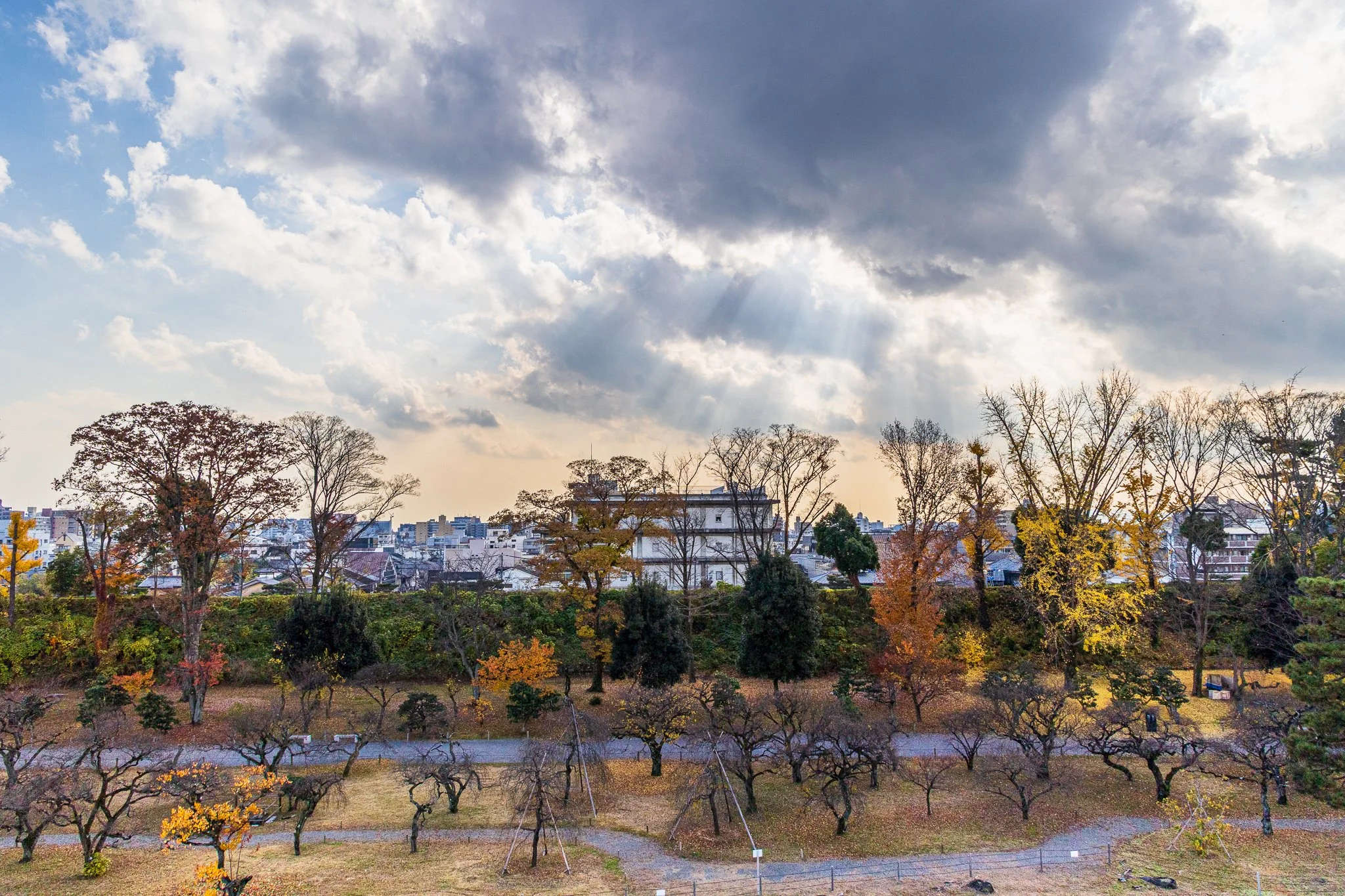 F19A4502_nijo-castle.jpg