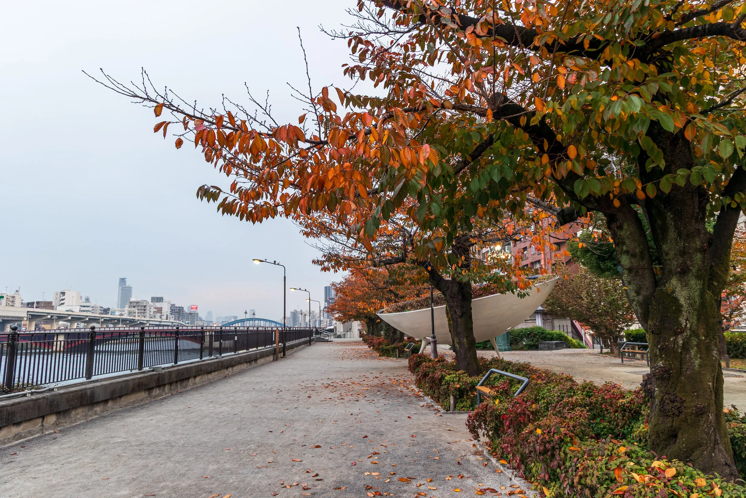 F19A1390_sumida-park.jpg