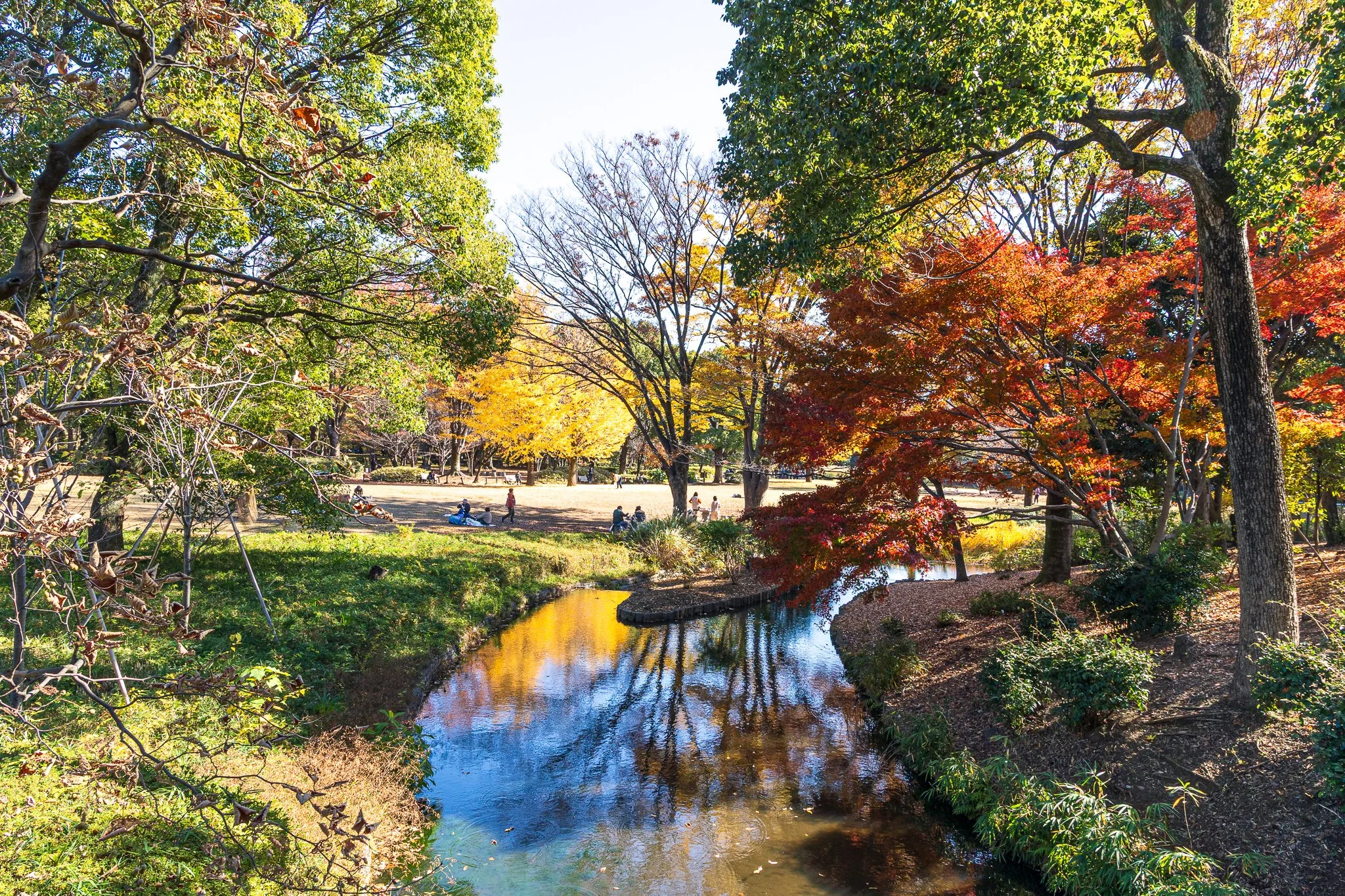F19A1850_kitanomaru-park.jpg