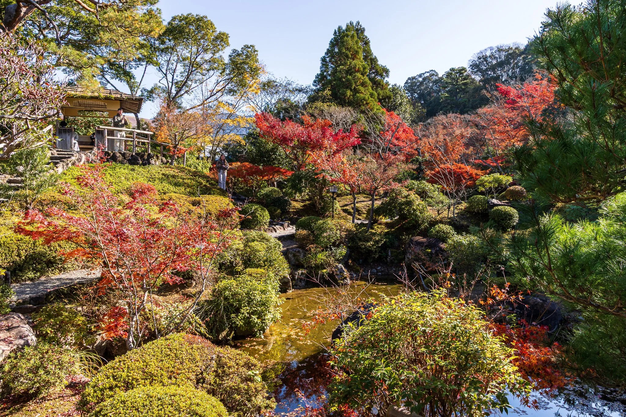 F19A3472_yoshikien-garden.jpg