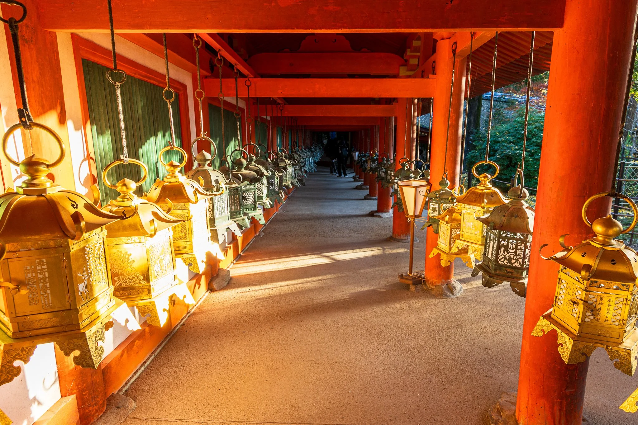 F19A3728_kasuga-taisha.jpg