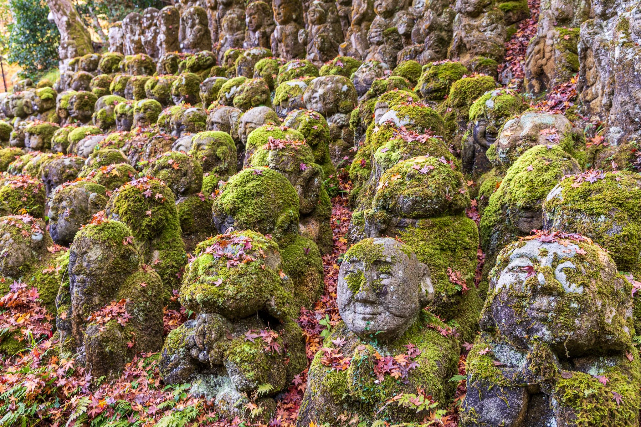 F19A4137_otagi-nenbutsu-ji.jpg