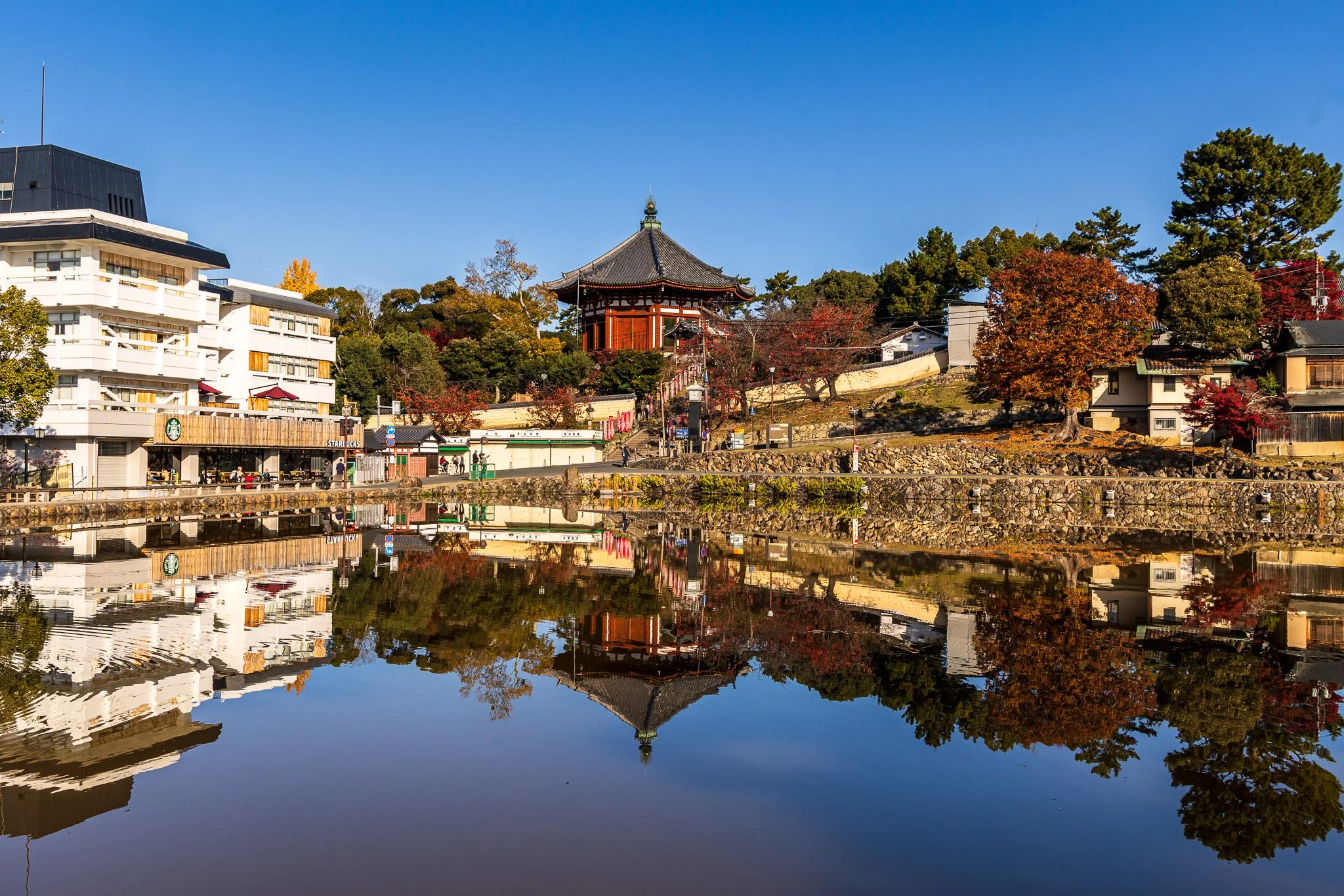 F19A3409_sarusawa-ike-pond.jpg