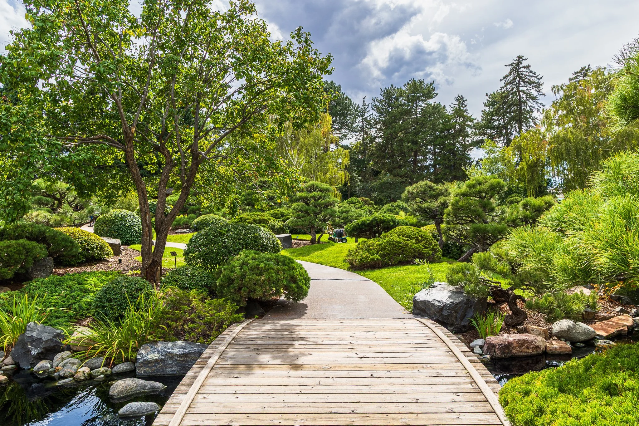 F19A9967_denver-botanic-gardens.jpg