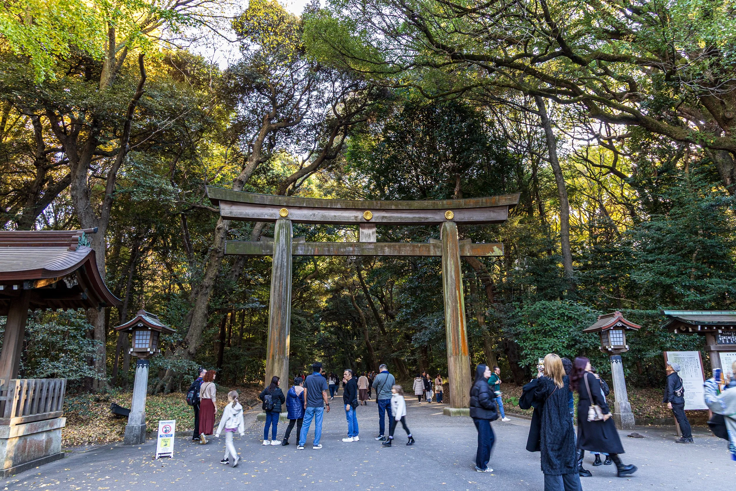 F19A0804_meiji-jingu.jpg