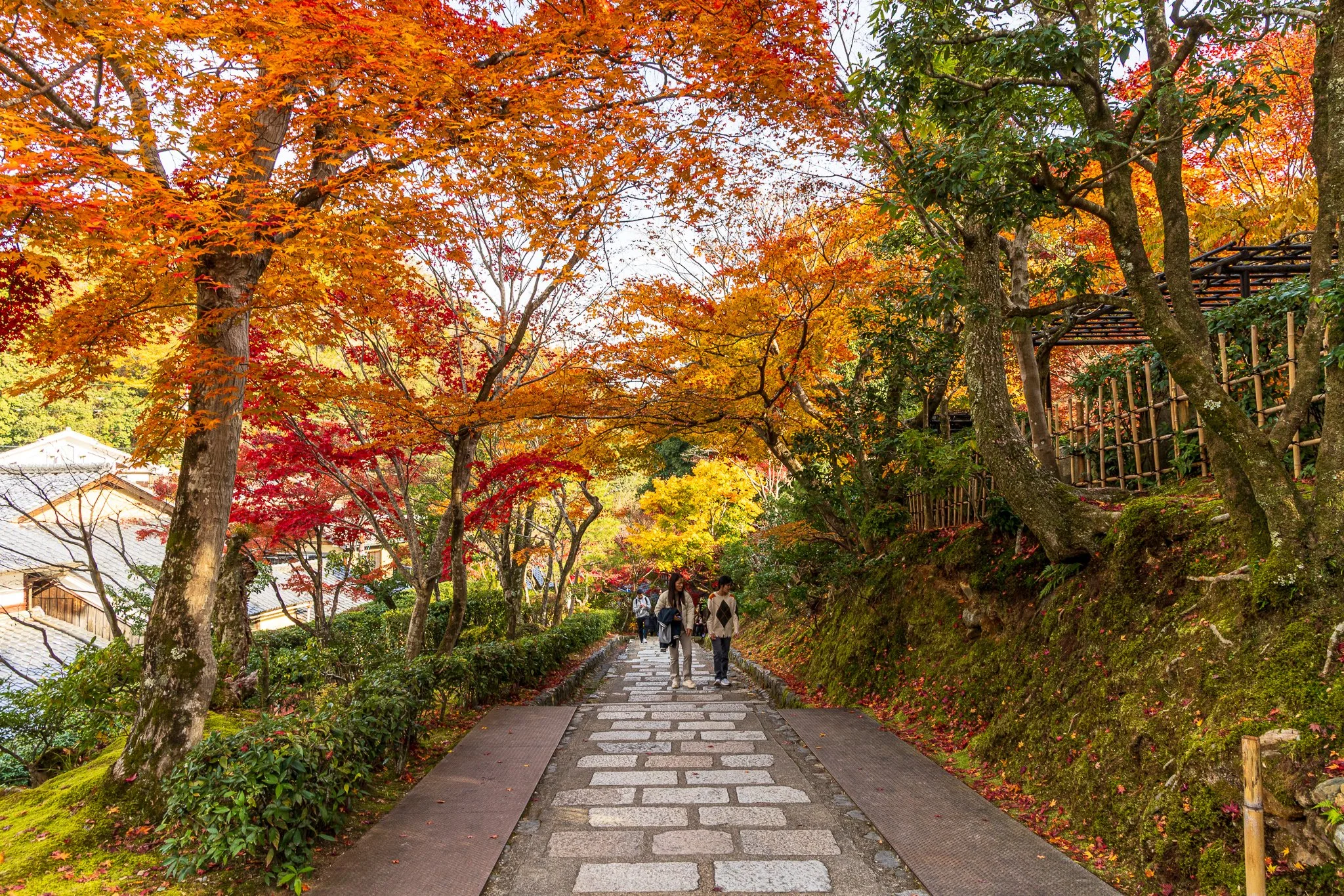 F19A4119_adashino-nenbutsu-ji.jpg