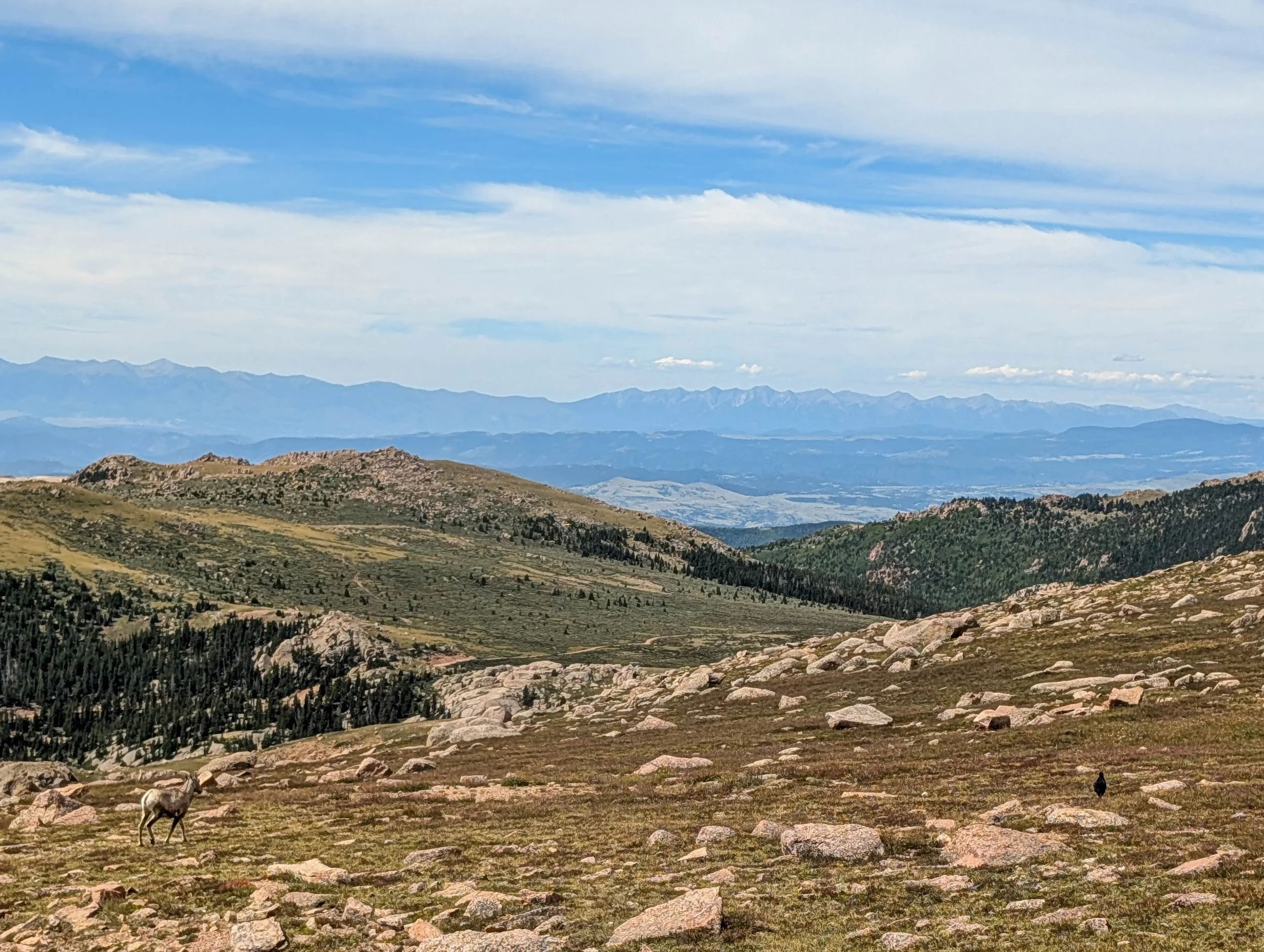 PXL_20240817_165054248_the-broadmoor-manitou-and-pikes-peak-cog-railway.jpg