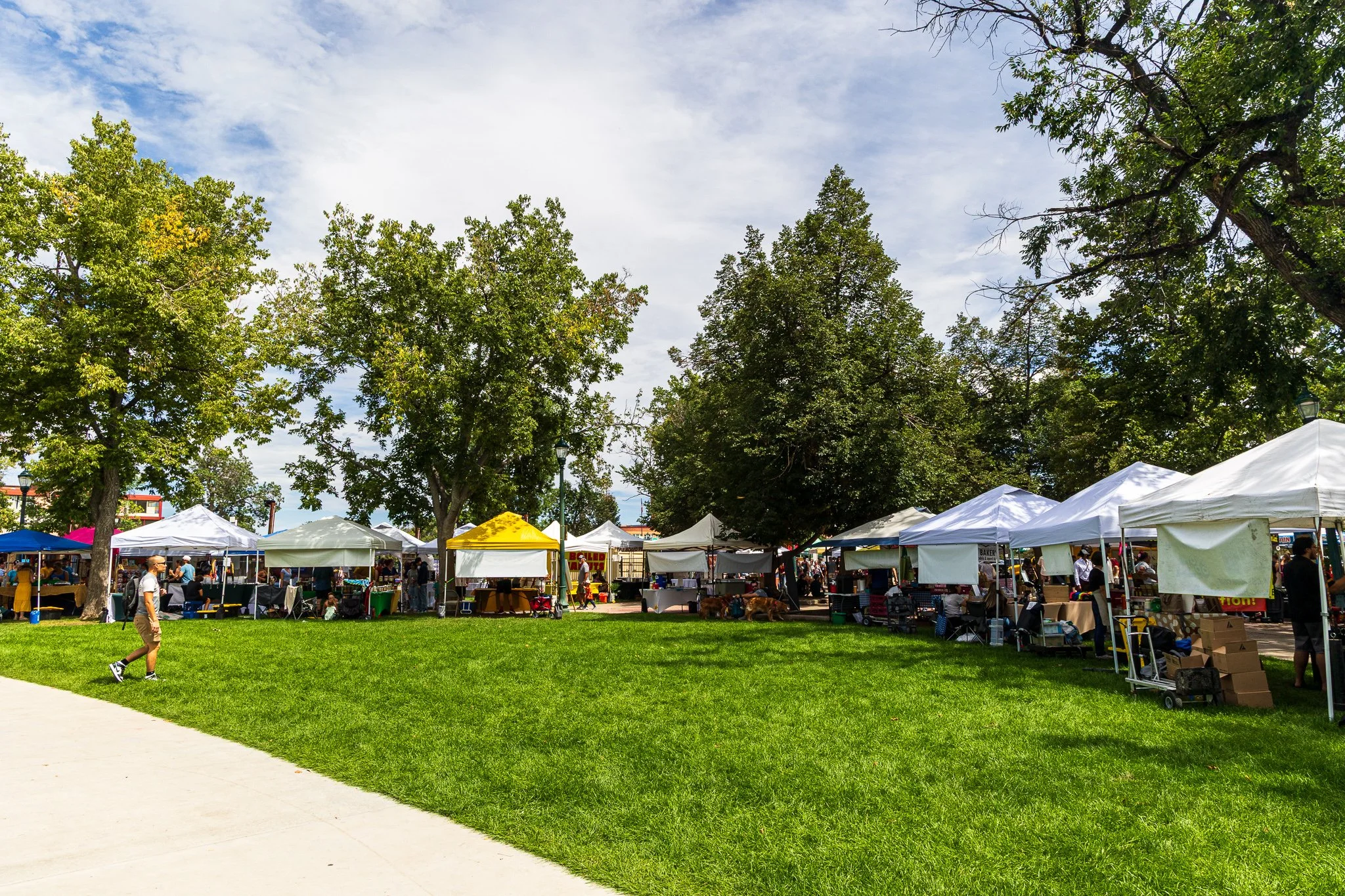 F19A9307_acacia-park.jpg