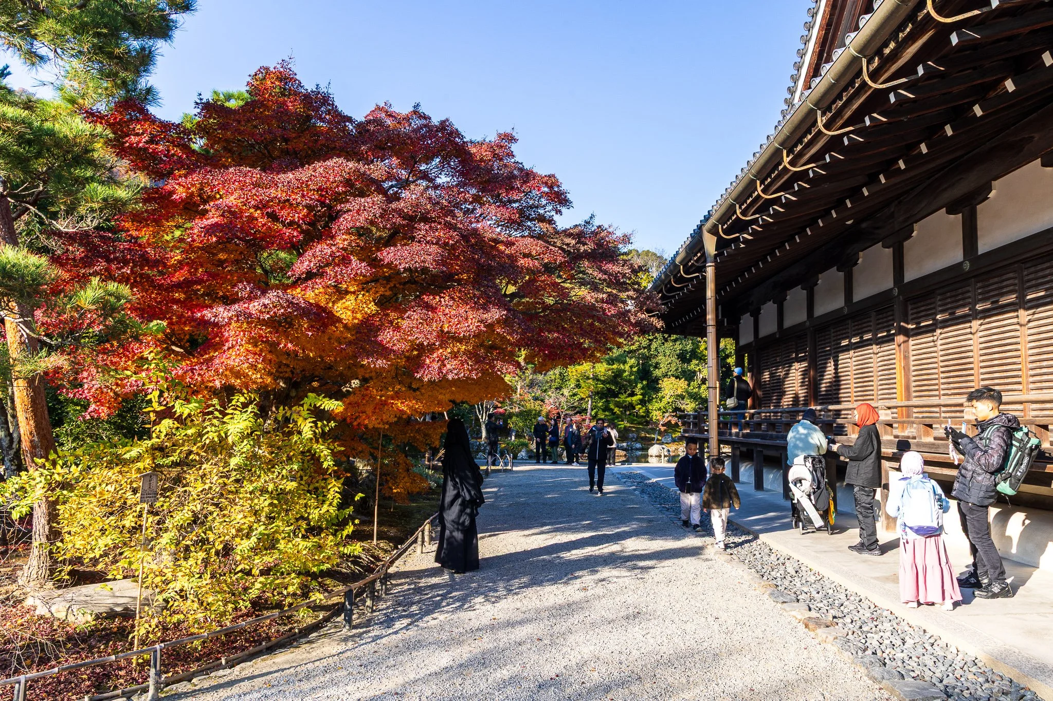 F19A3867_tenryu-ji.jpg