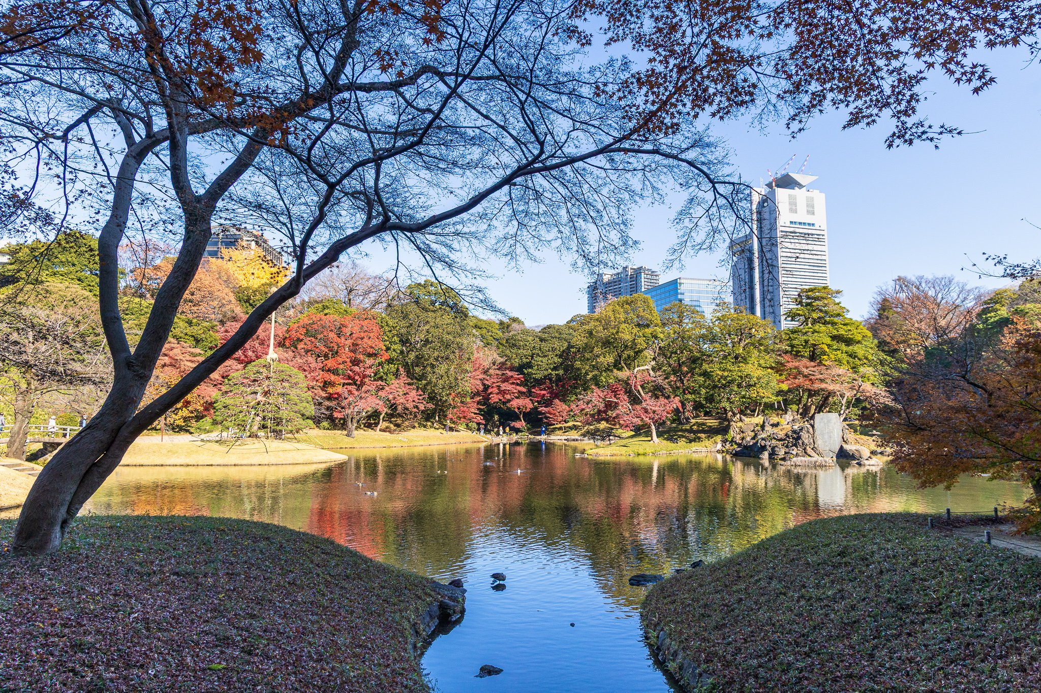 F19A5951_koishikawa-korakuen-gardens.jpg