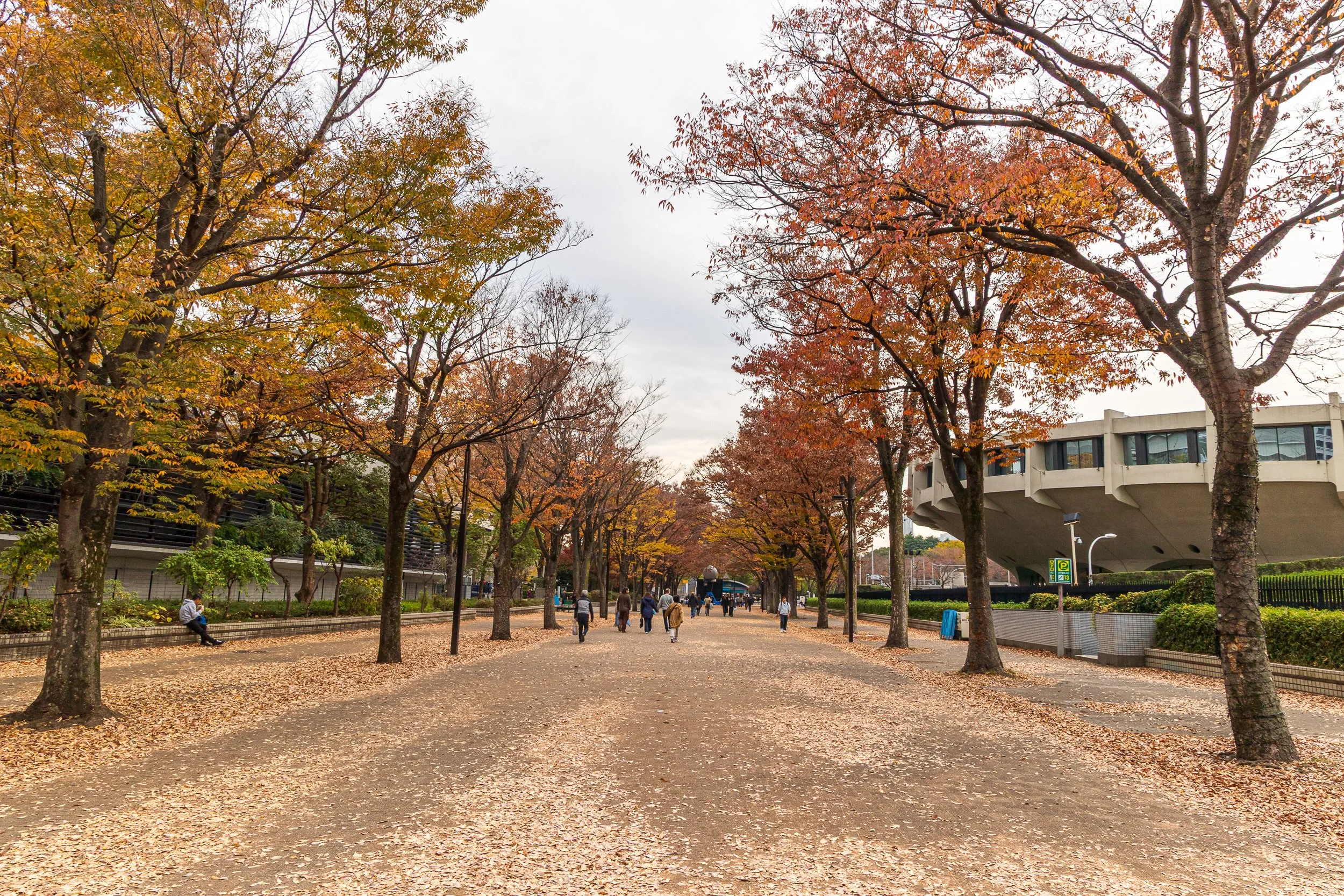 F19A2421_yoyogi-park.jpg