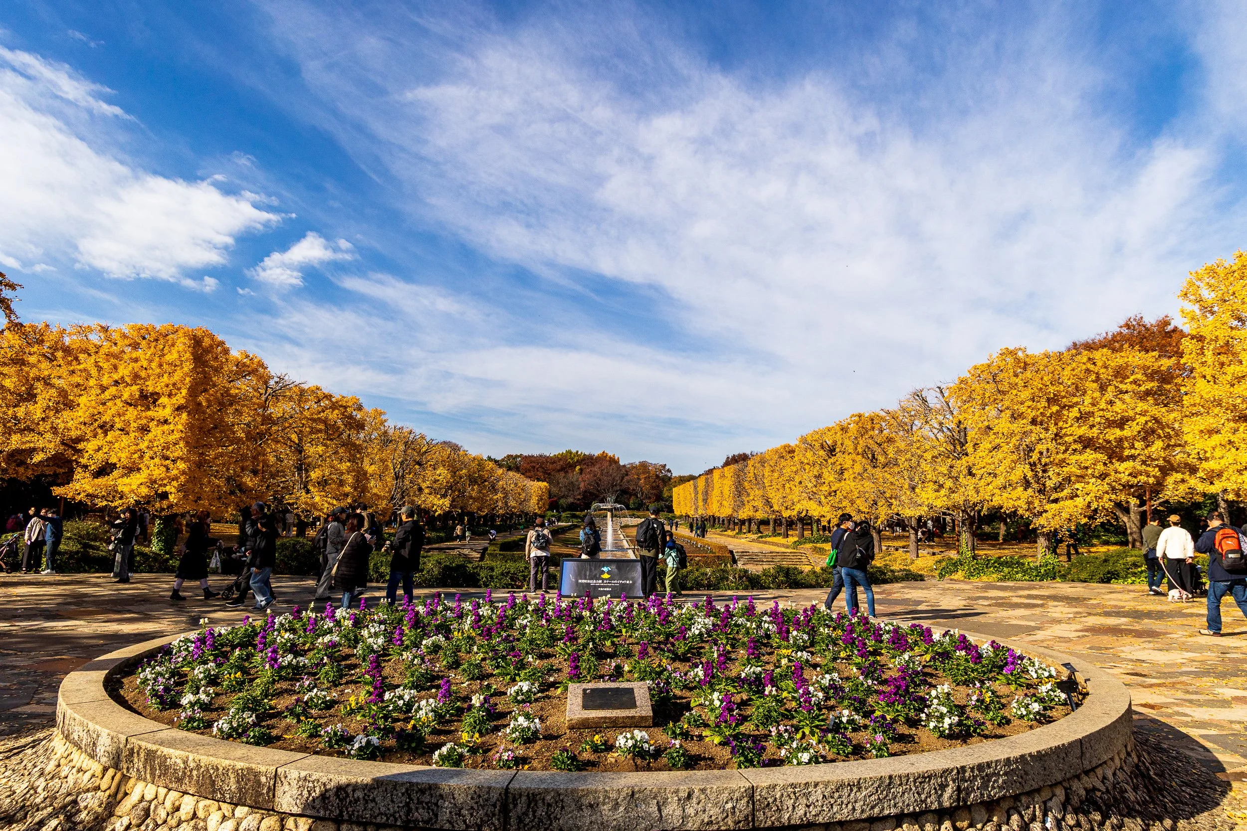 F19A0614_showa-kinen-park.jpg