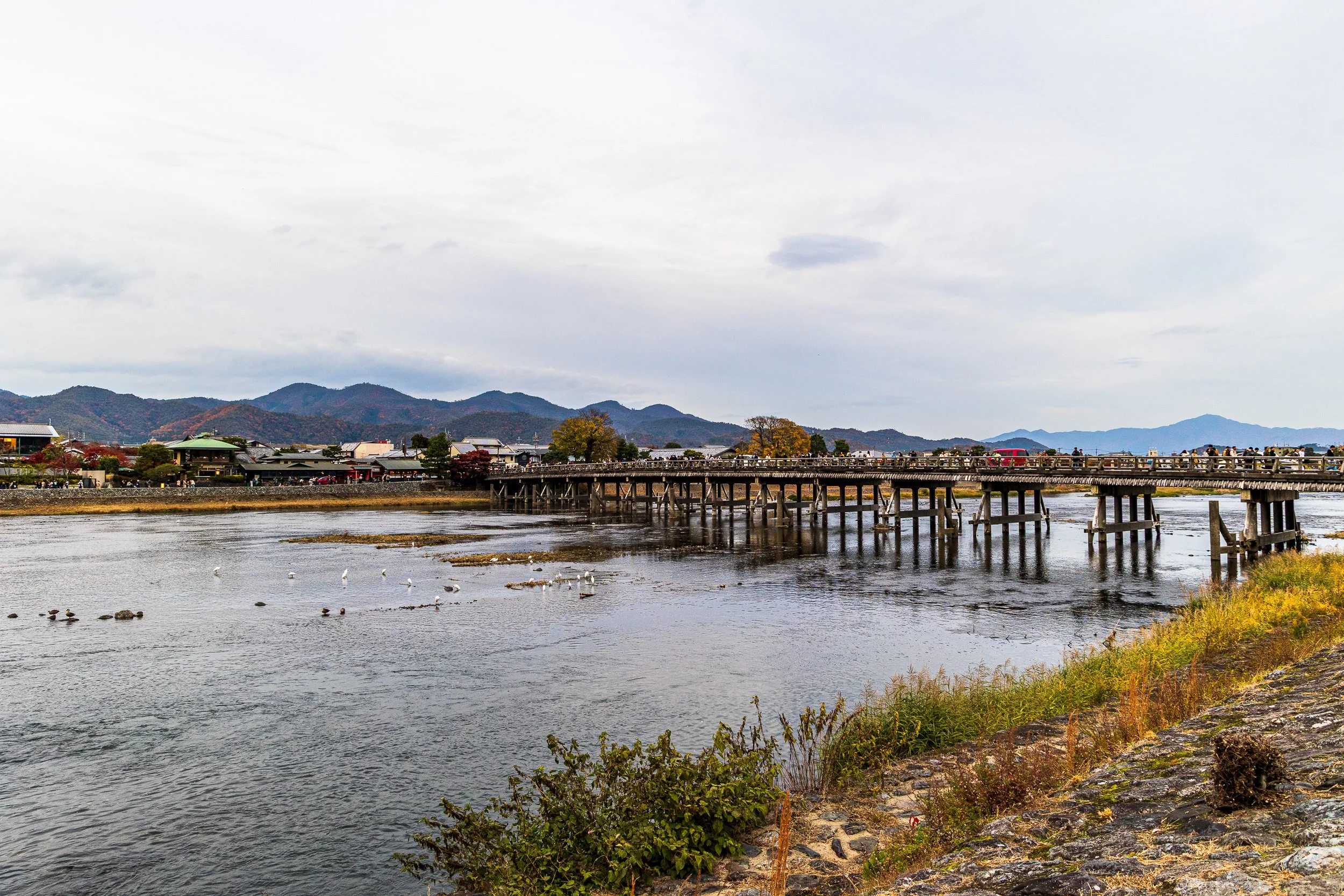 F19A4203_togetsukyo-bridge.jpg