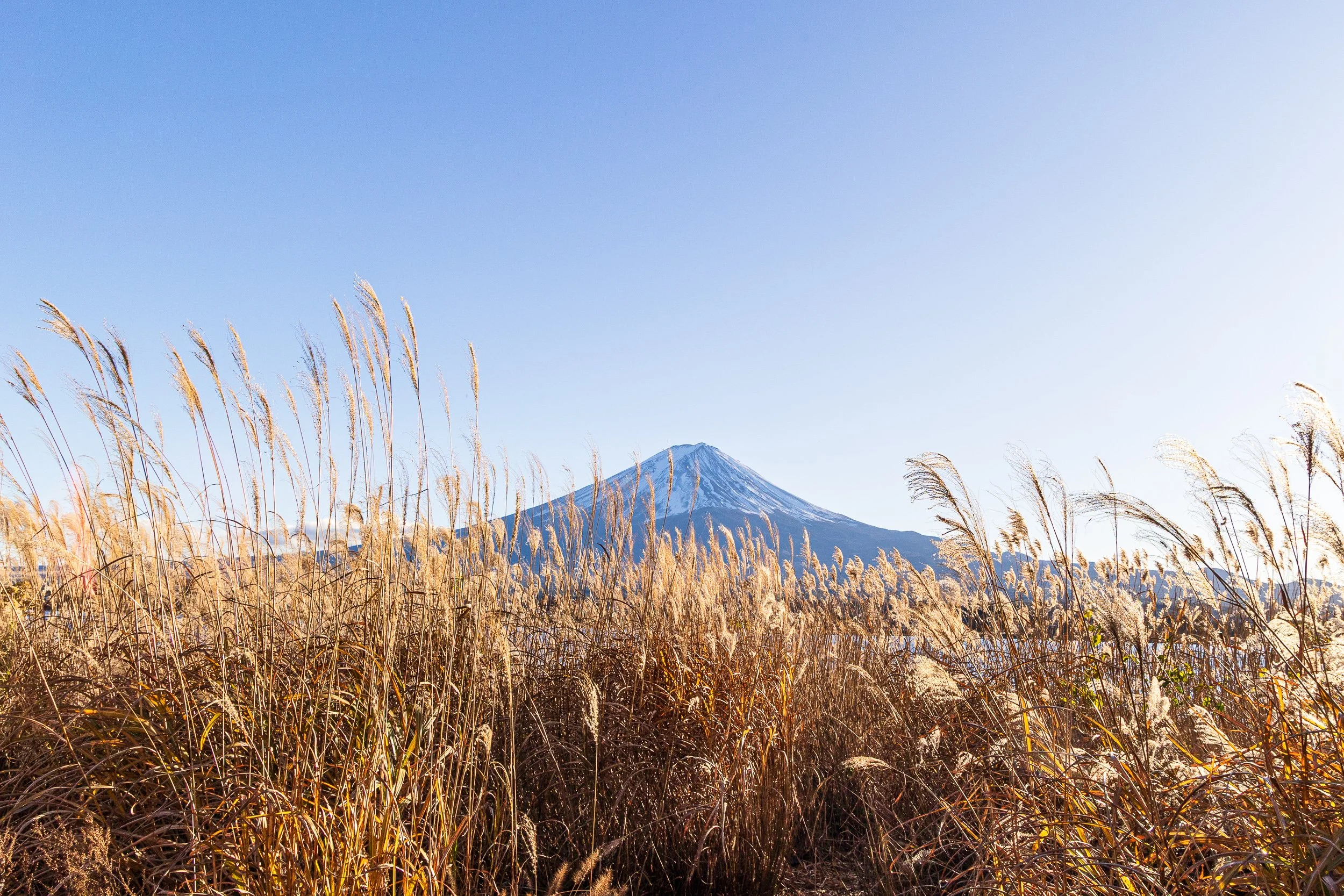 F19A2886_nagasaki-park.jpg