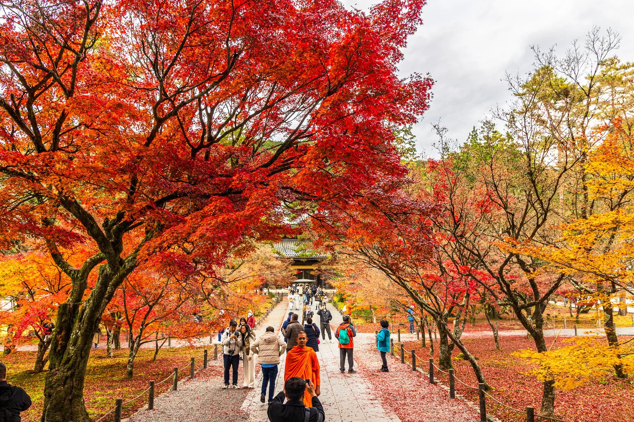 F19A5058_nanzen-ji.jpg