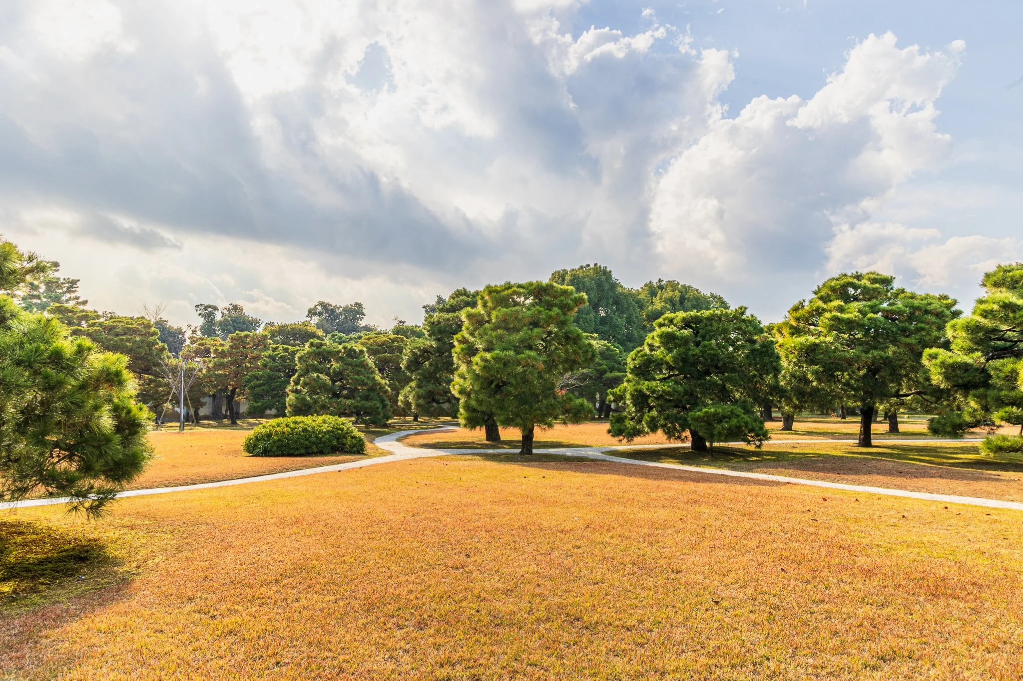 Ninomaru Garden