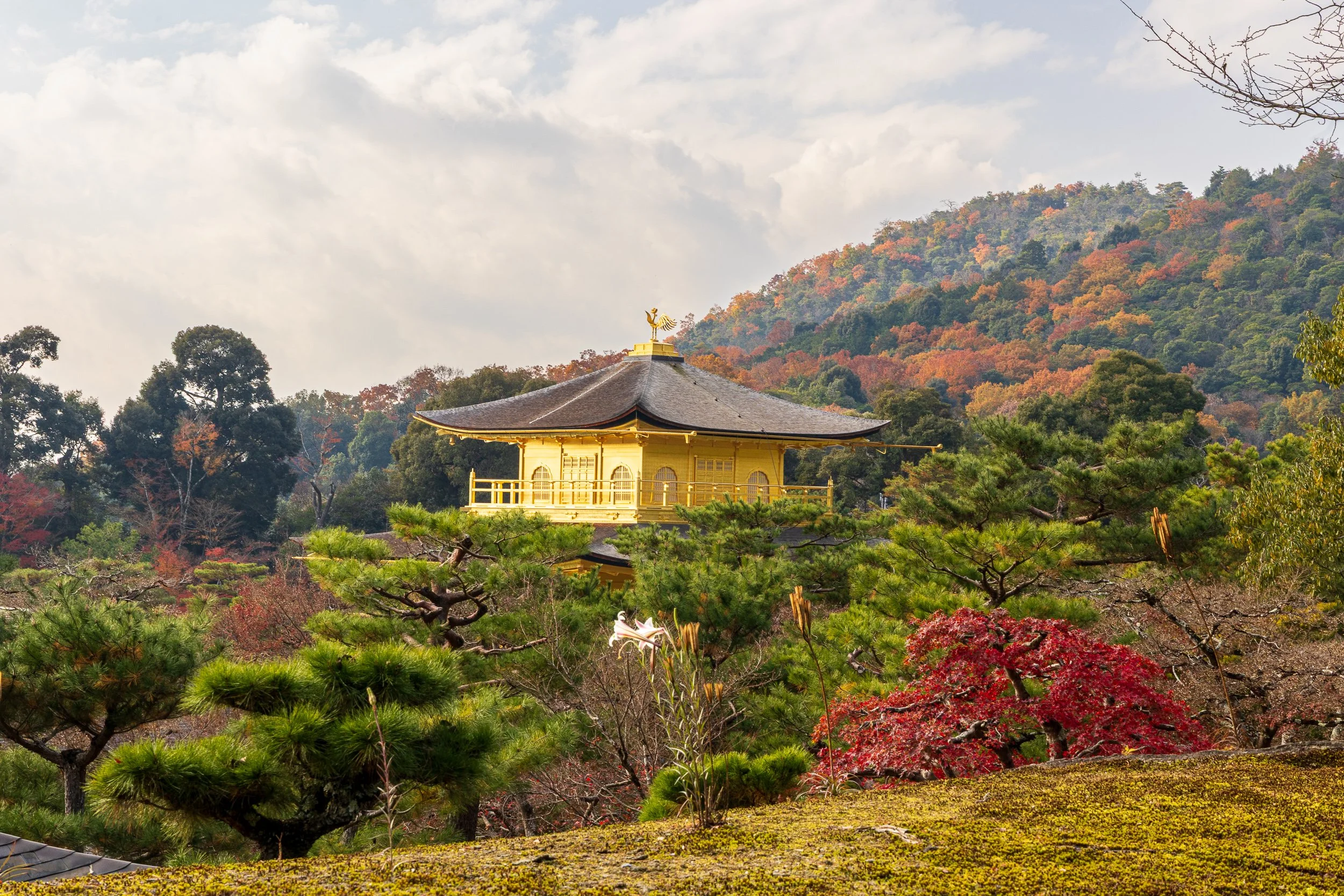 F19A4429_kinkaku-ji.jpg