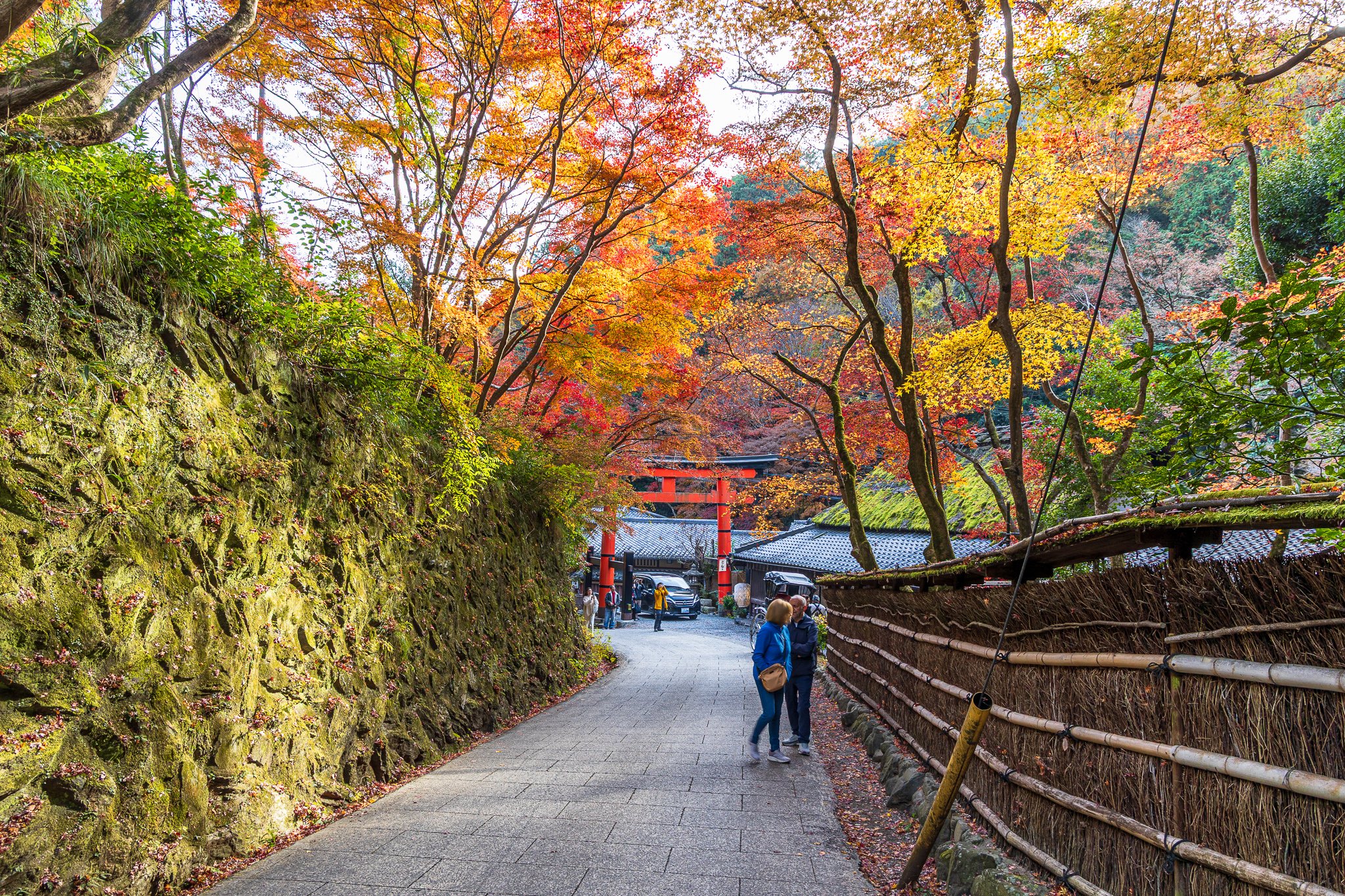 F19A4122_otagi-nenbutsu-ji.jpg
