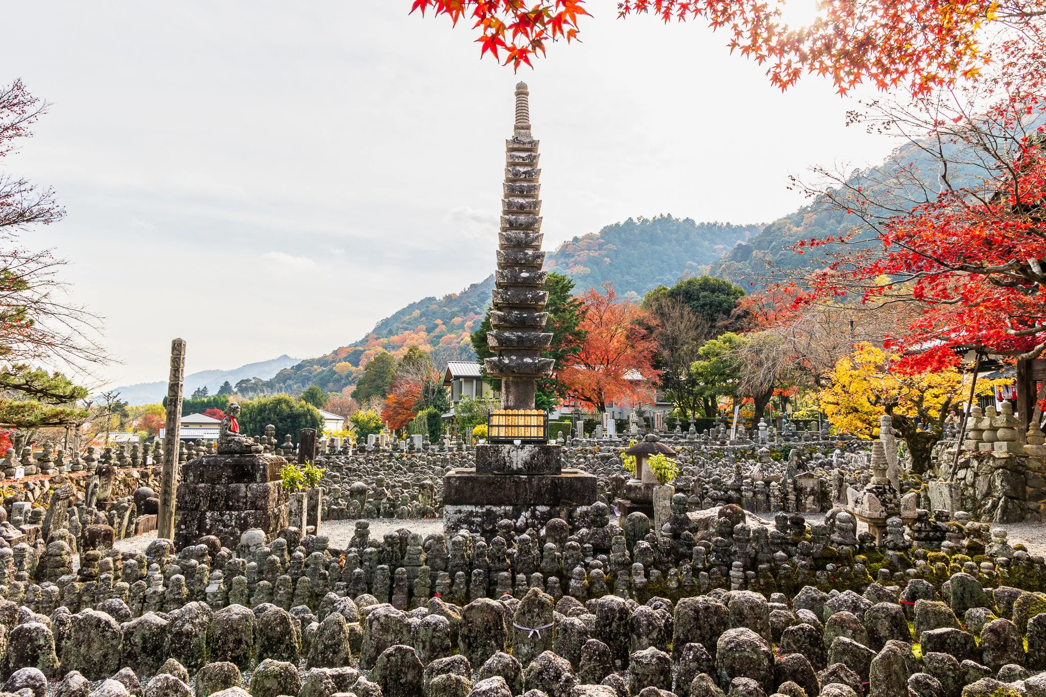 F19A4092_adashino-nenbutsu-ji.jpg