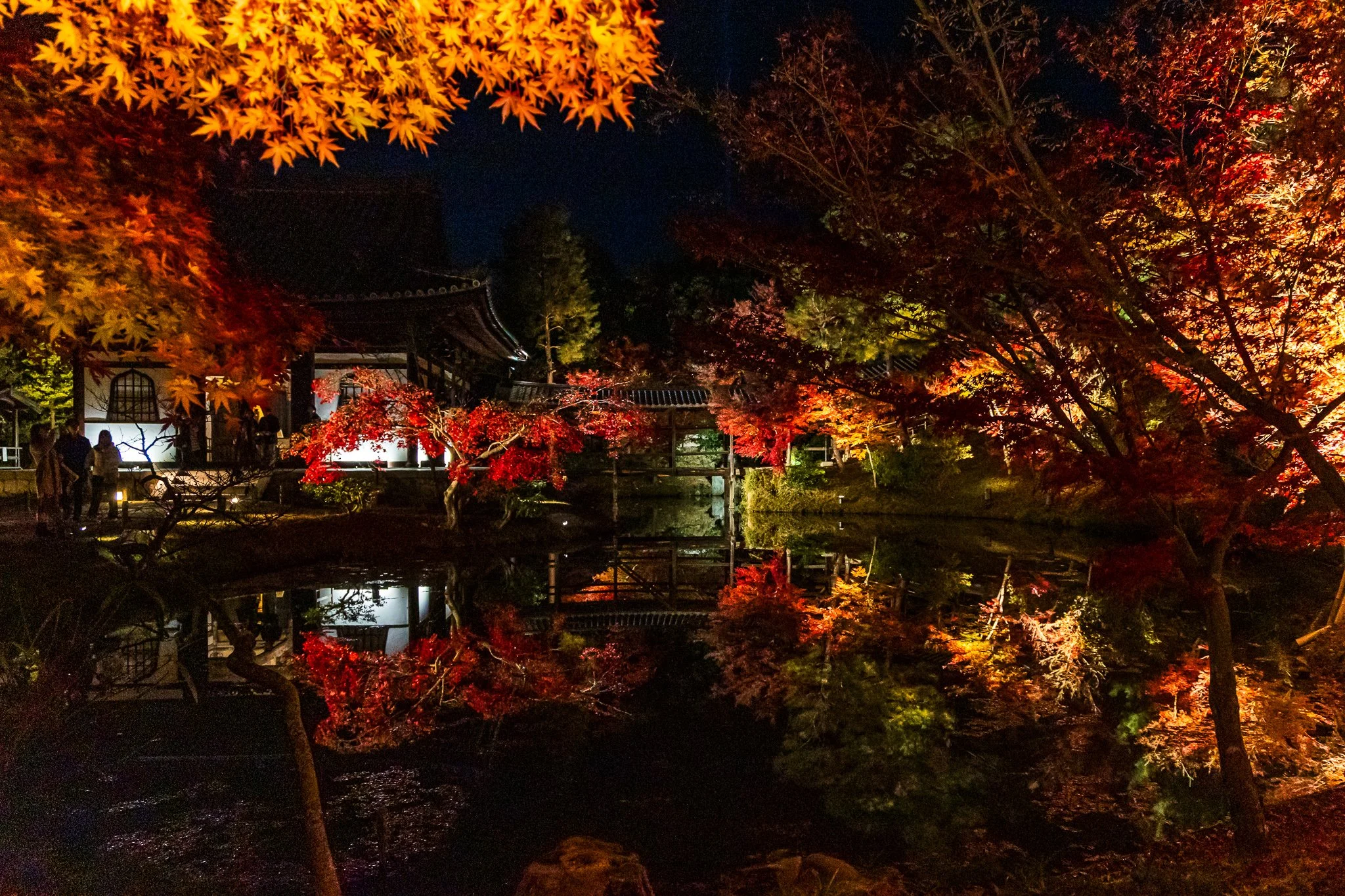 F19A3304_kodai-ji.jpg
