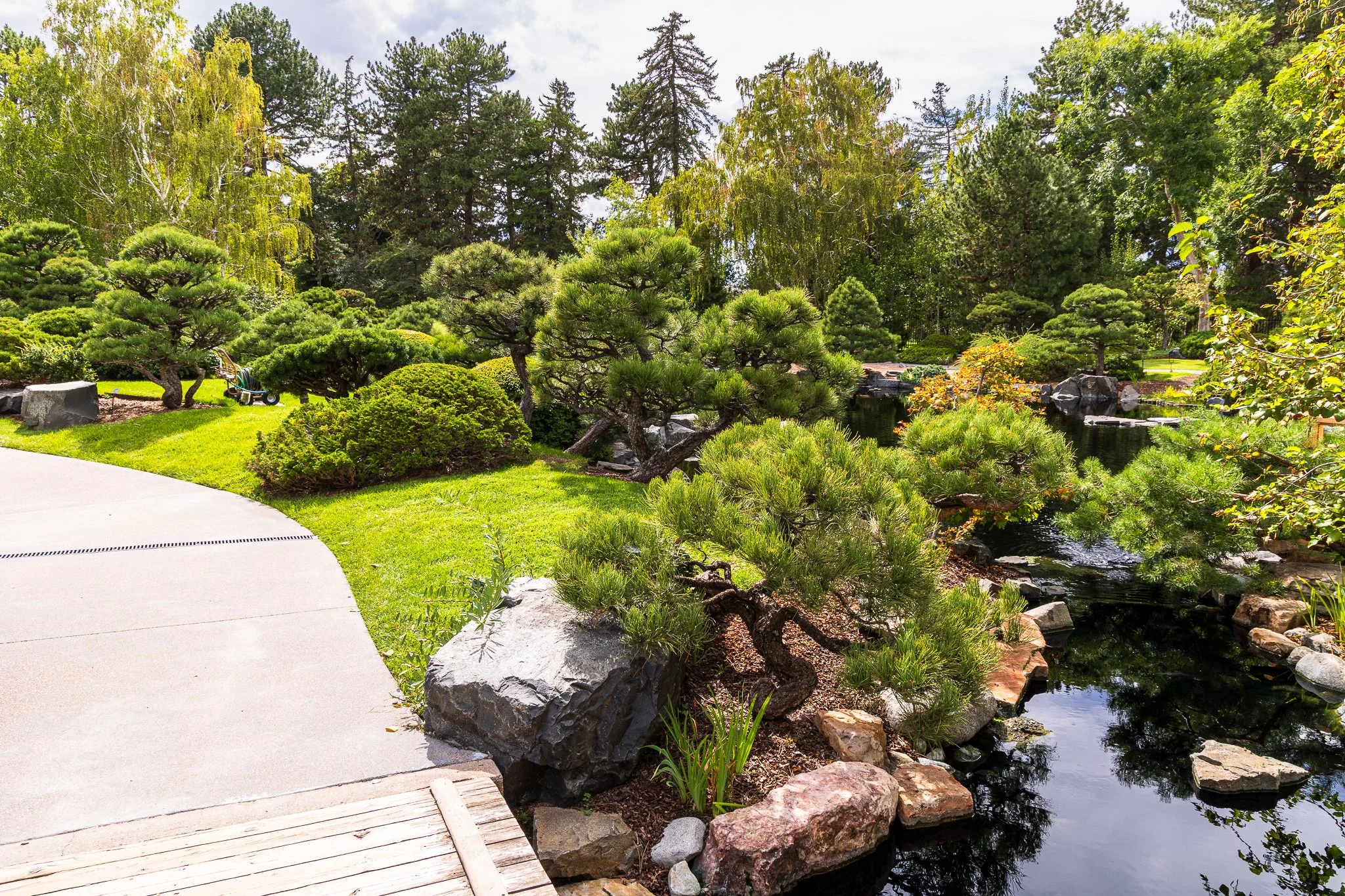 F19A9966_denver-botanic-gardens.jpg