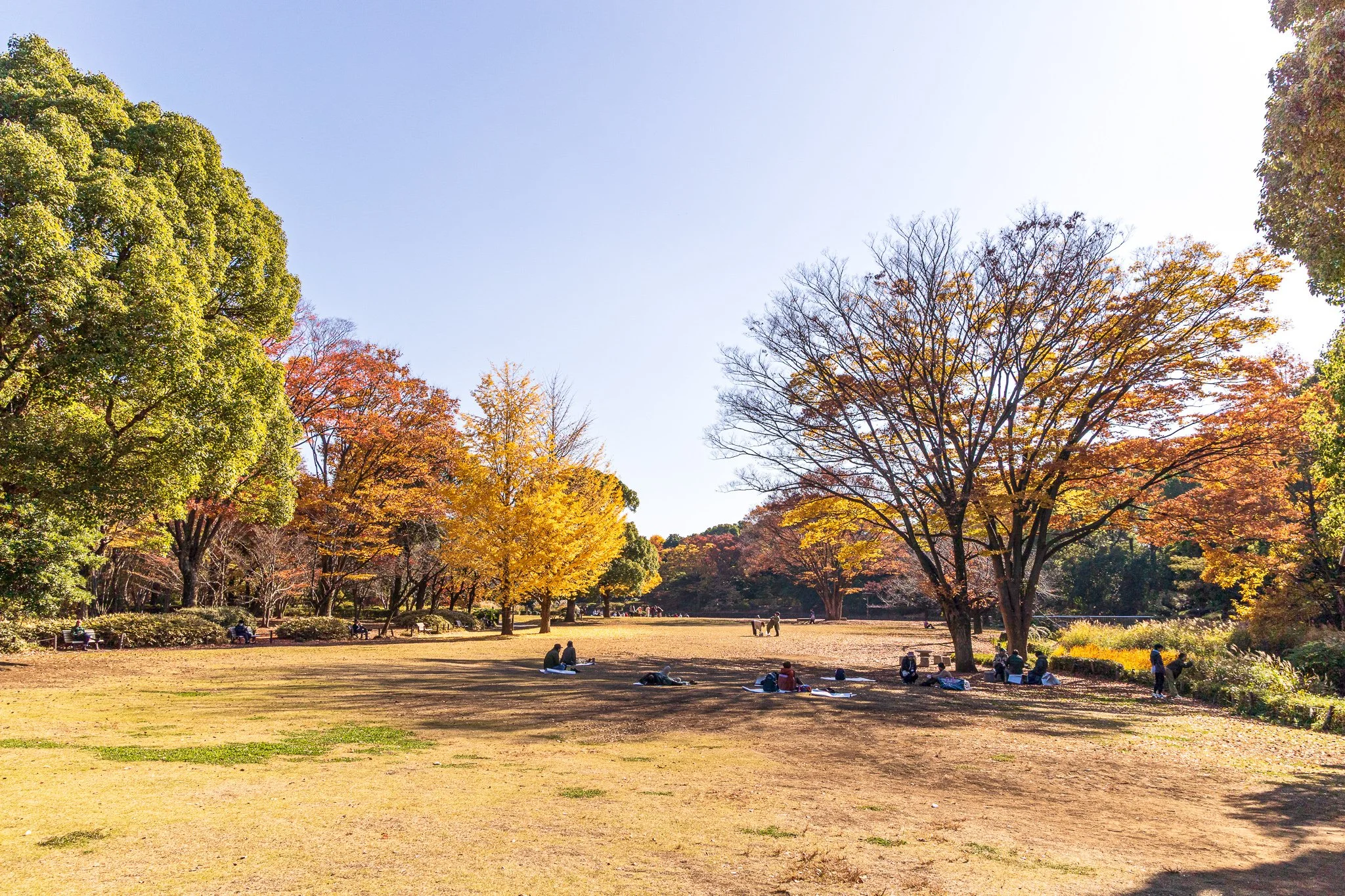 F19A1866_kitanomaru-park.jpg