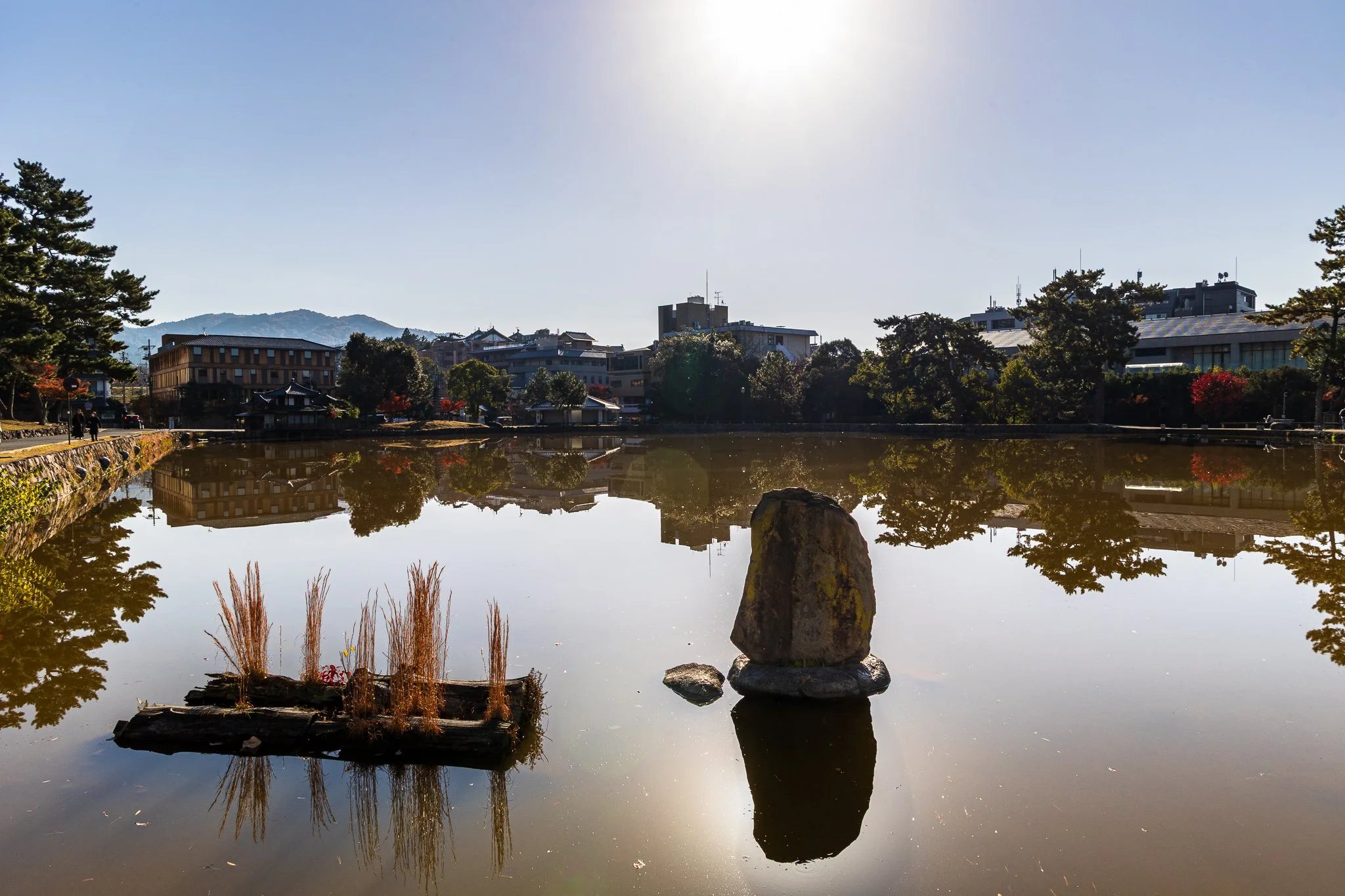 F19A3403_sarusawa-ike-pond.jpg