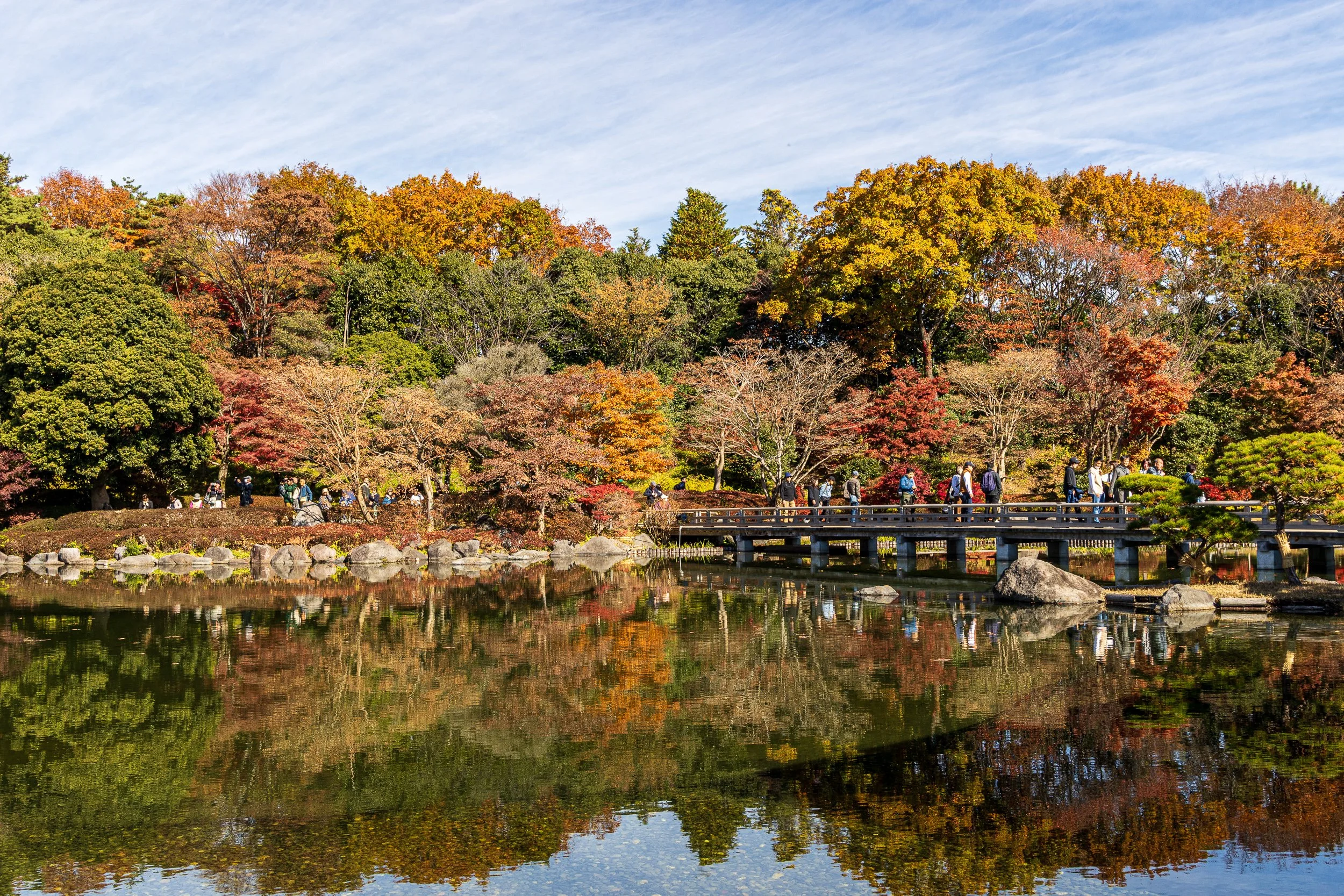 F19A0718_showa-kinen-park.jpg