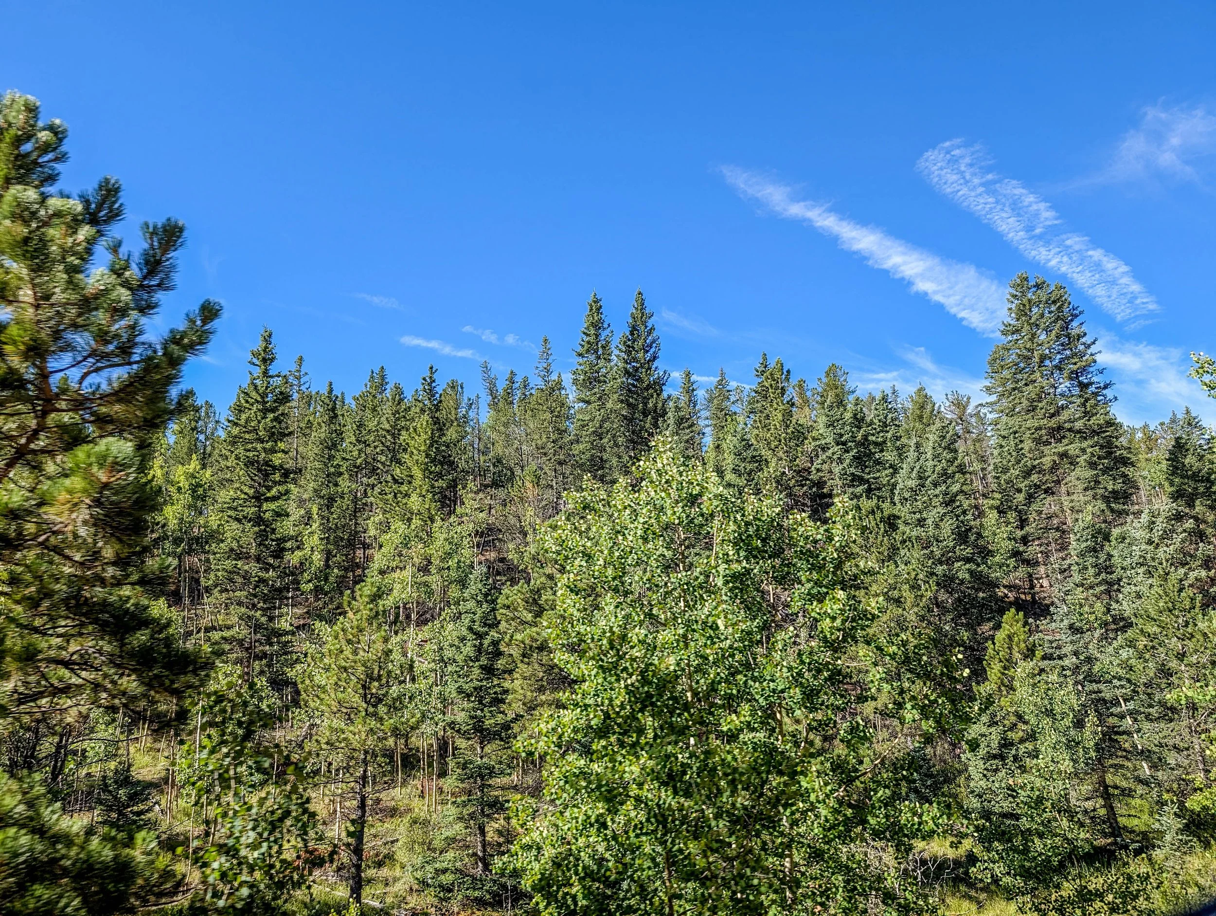 PXL_20240817_150348311_the-broadmoor-manitou-and-pikes-peak-cog-railway.jpg