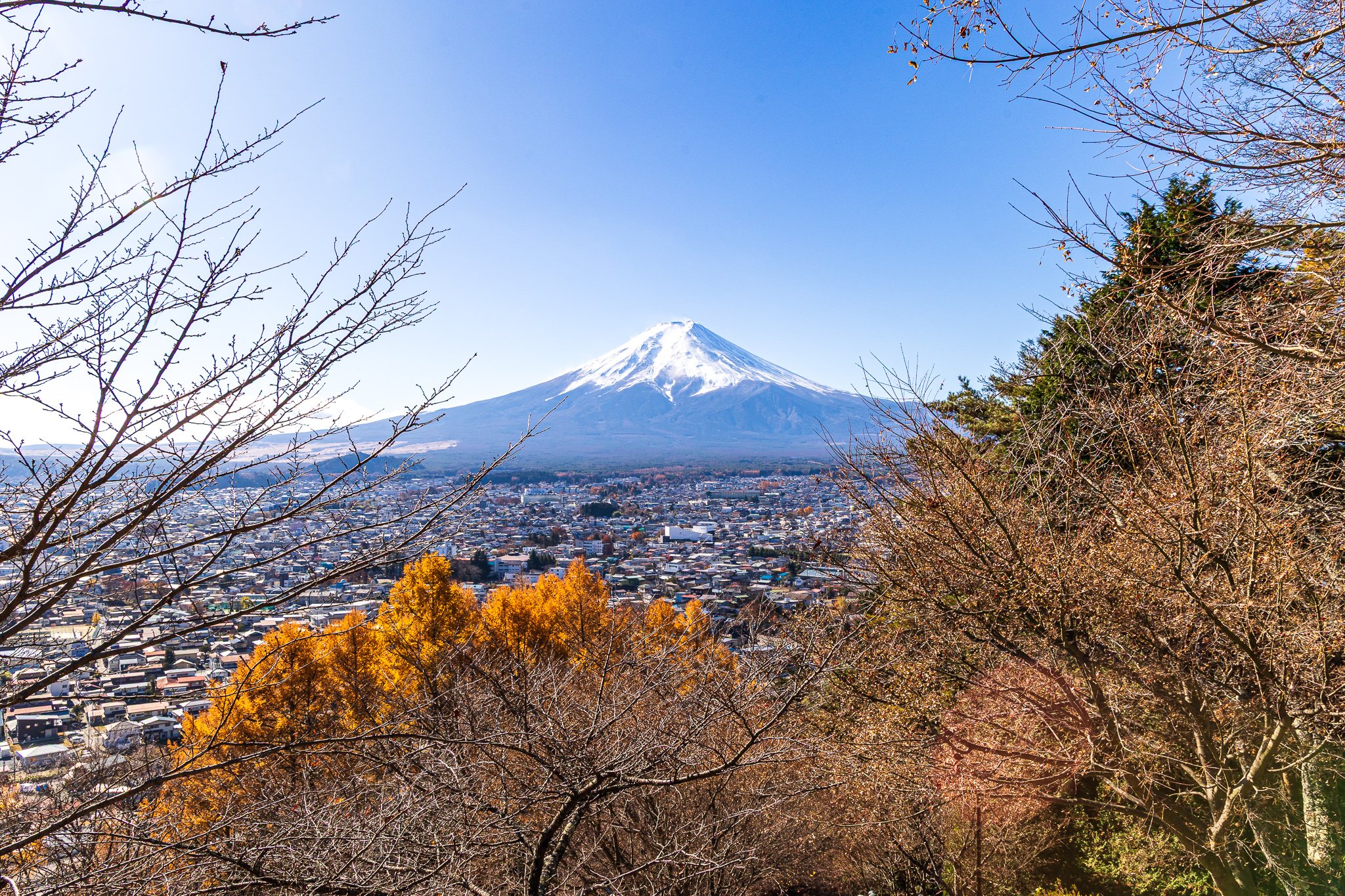 F19A2615_arakurayama-sengen-park.jpg
