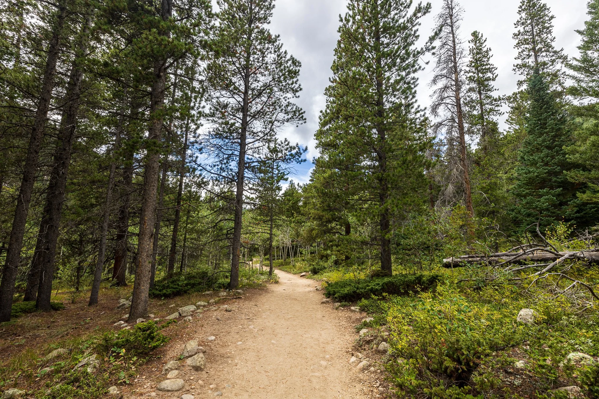 F19A1002_calypso-cascades-via-wild-basin-trail.jpg