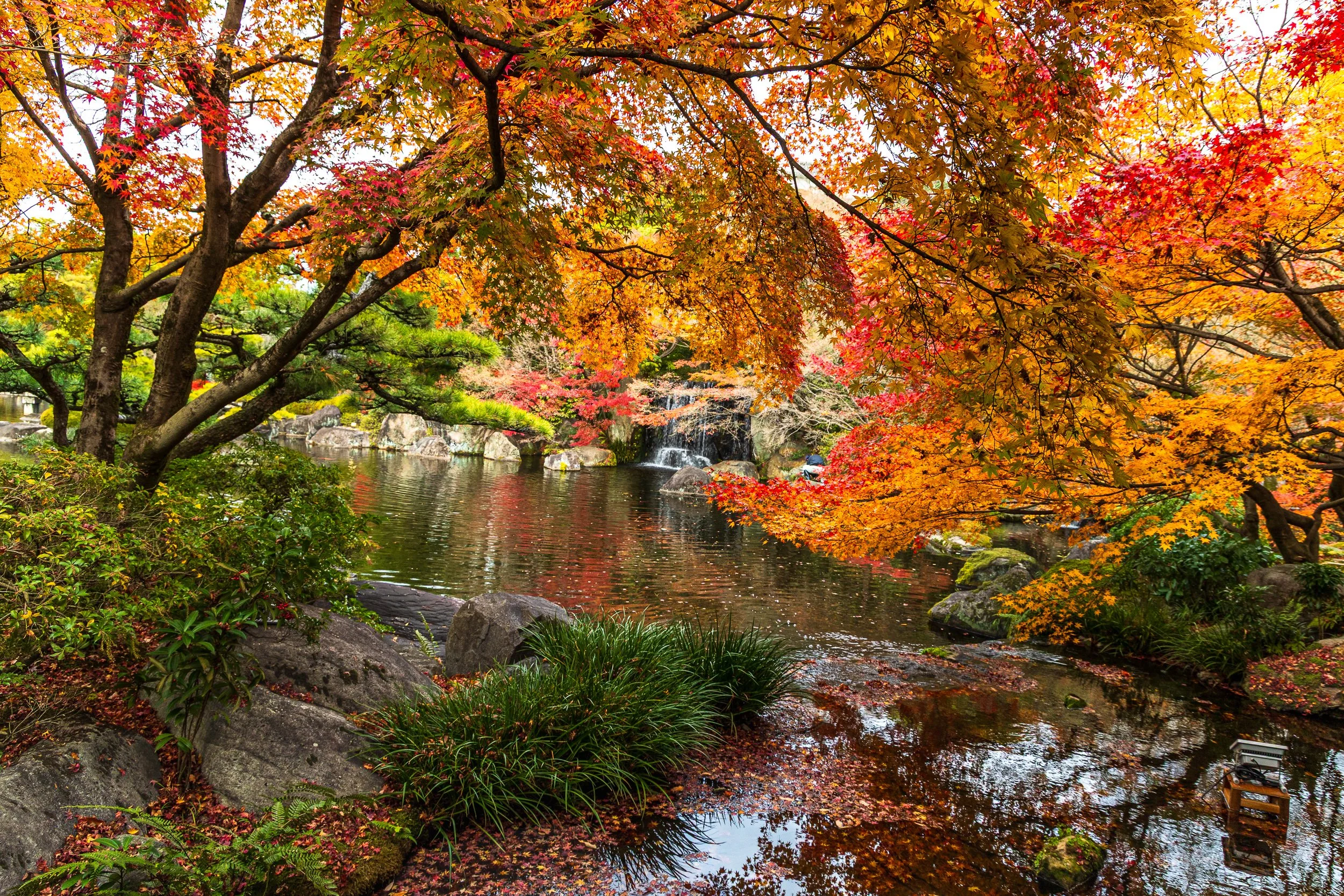 F19A5188_kokoen-garden.jpg