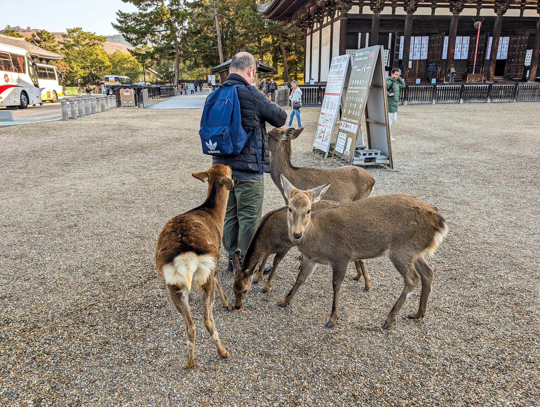 PXL_20251130_004347173_kofuku-ji.jpg