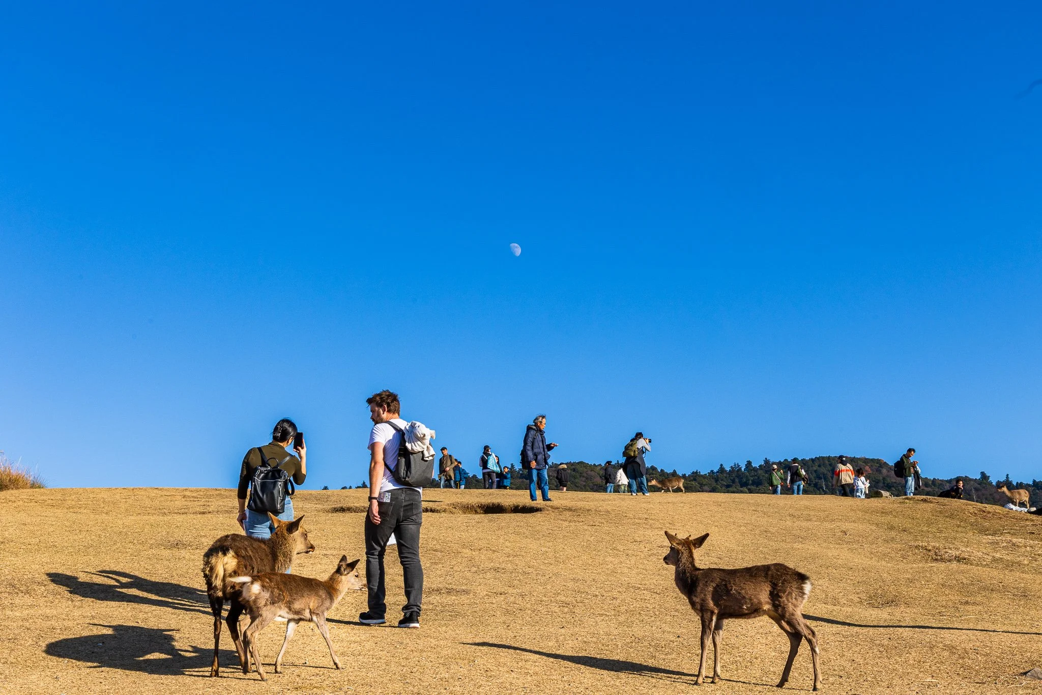 F19A3683_mount-wakakusa.jpg