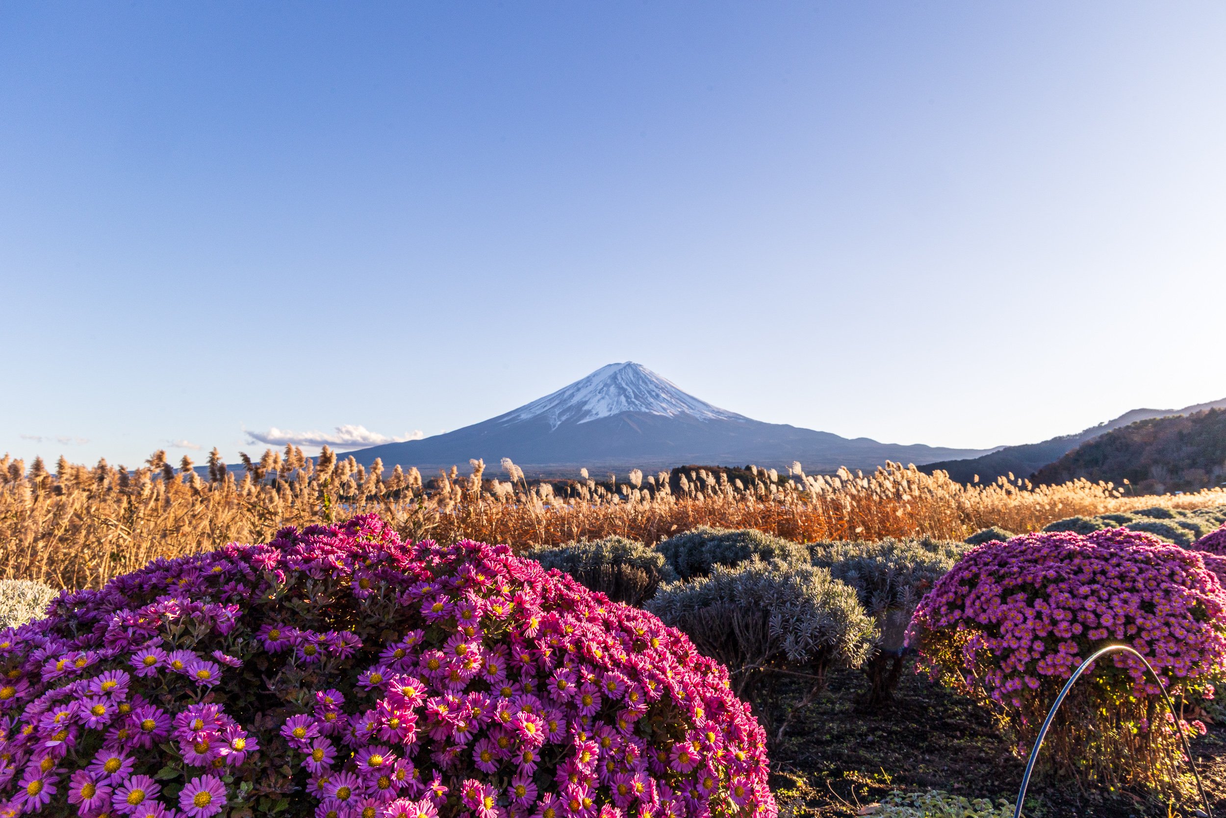 F19A2943_mount-fuji-from-oishi-park.jpg