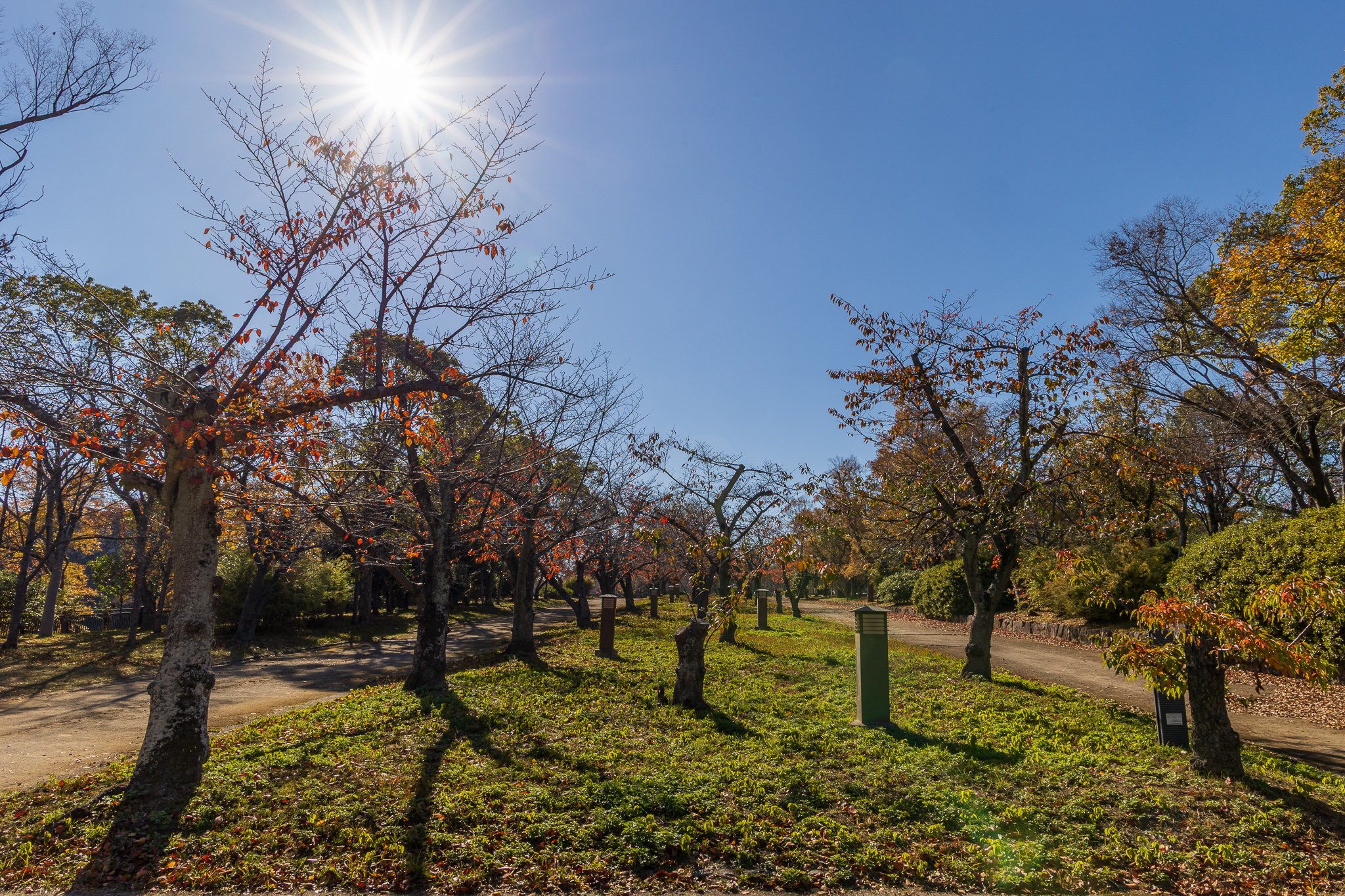 Nishinomaru Garden
