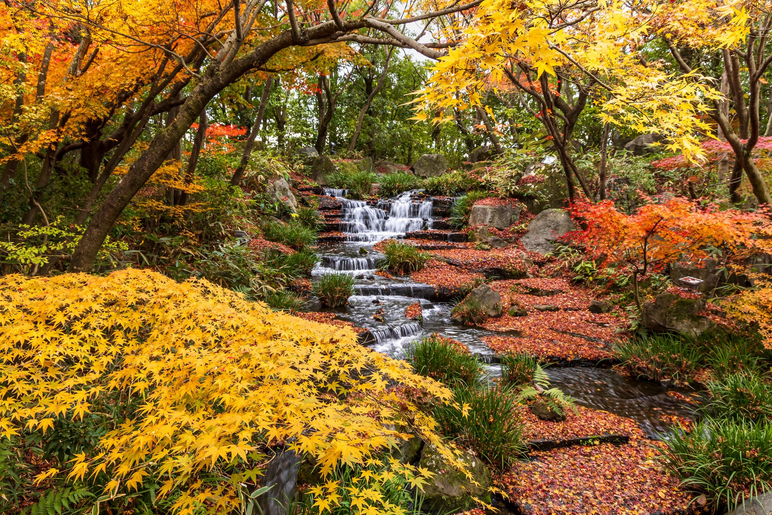 F19A5177_kokoen-garden.jpg