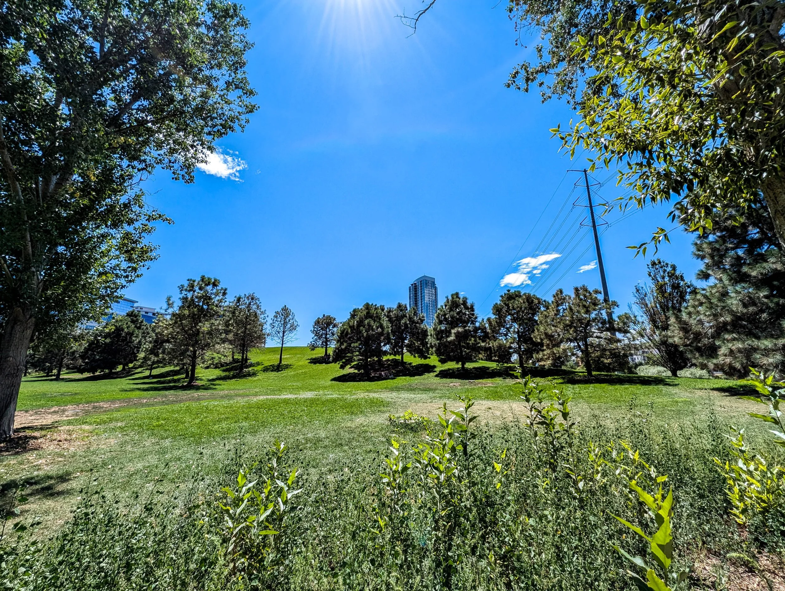 Confluence Park