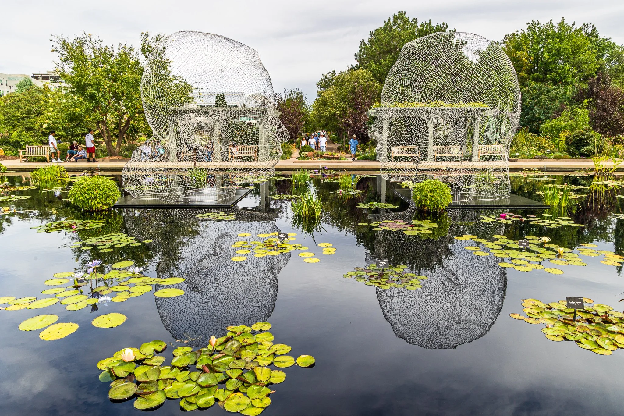 F19A9945_denver-botanic-gardens.jpg