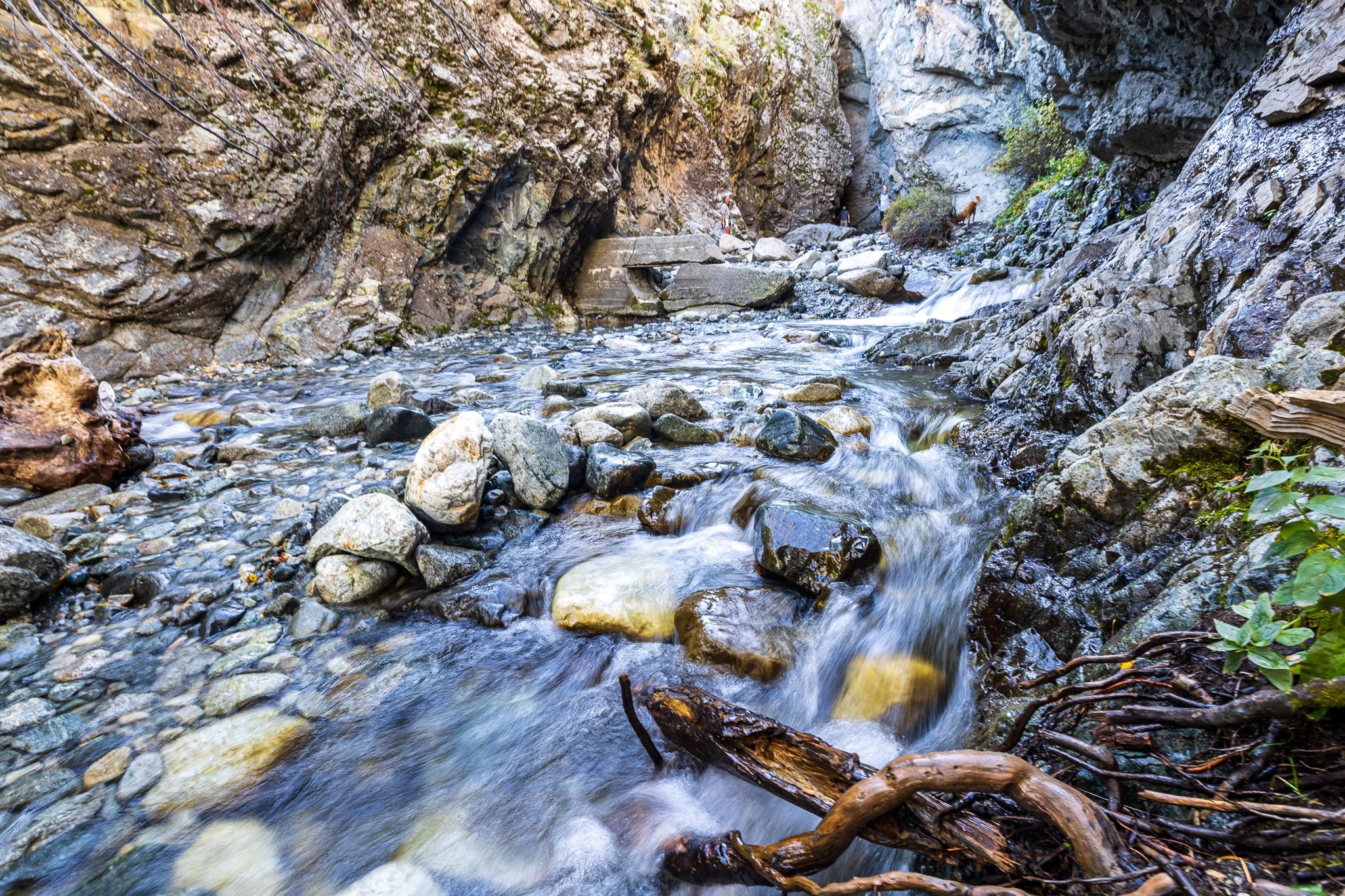 F19A0184_zapata-falls.jpg