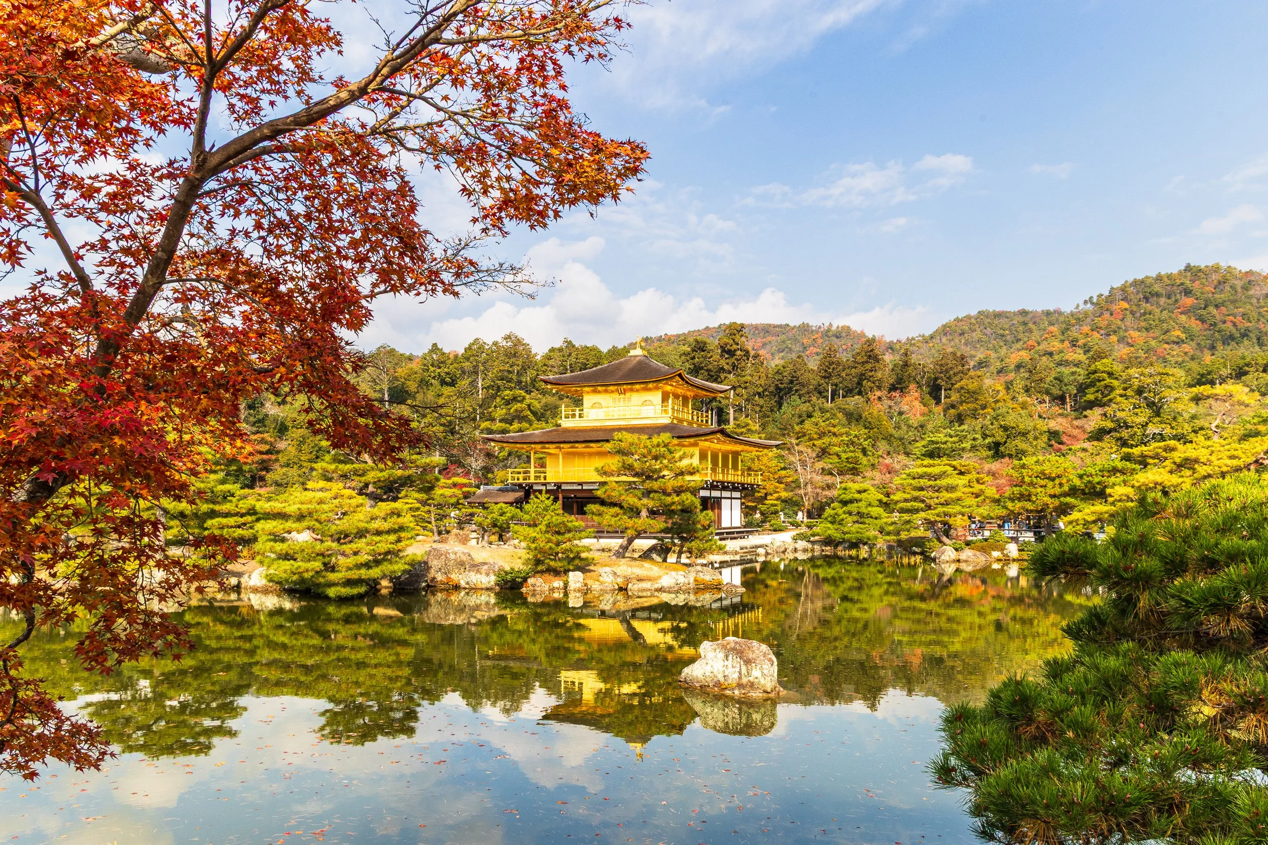 F19A4396_kinkaku-ji.jpg
