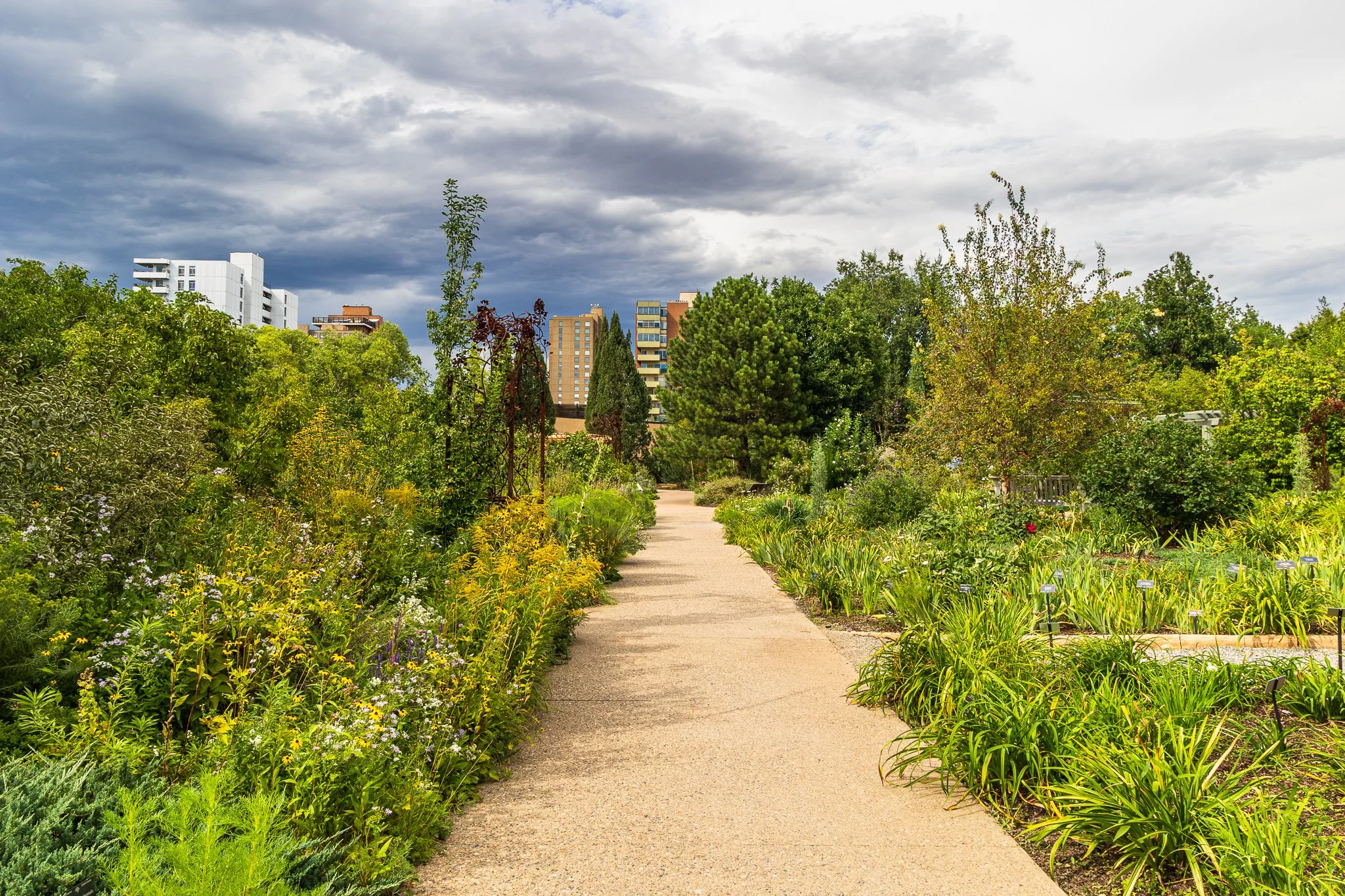 F19A9996_denver-botanic-gardens.jpg