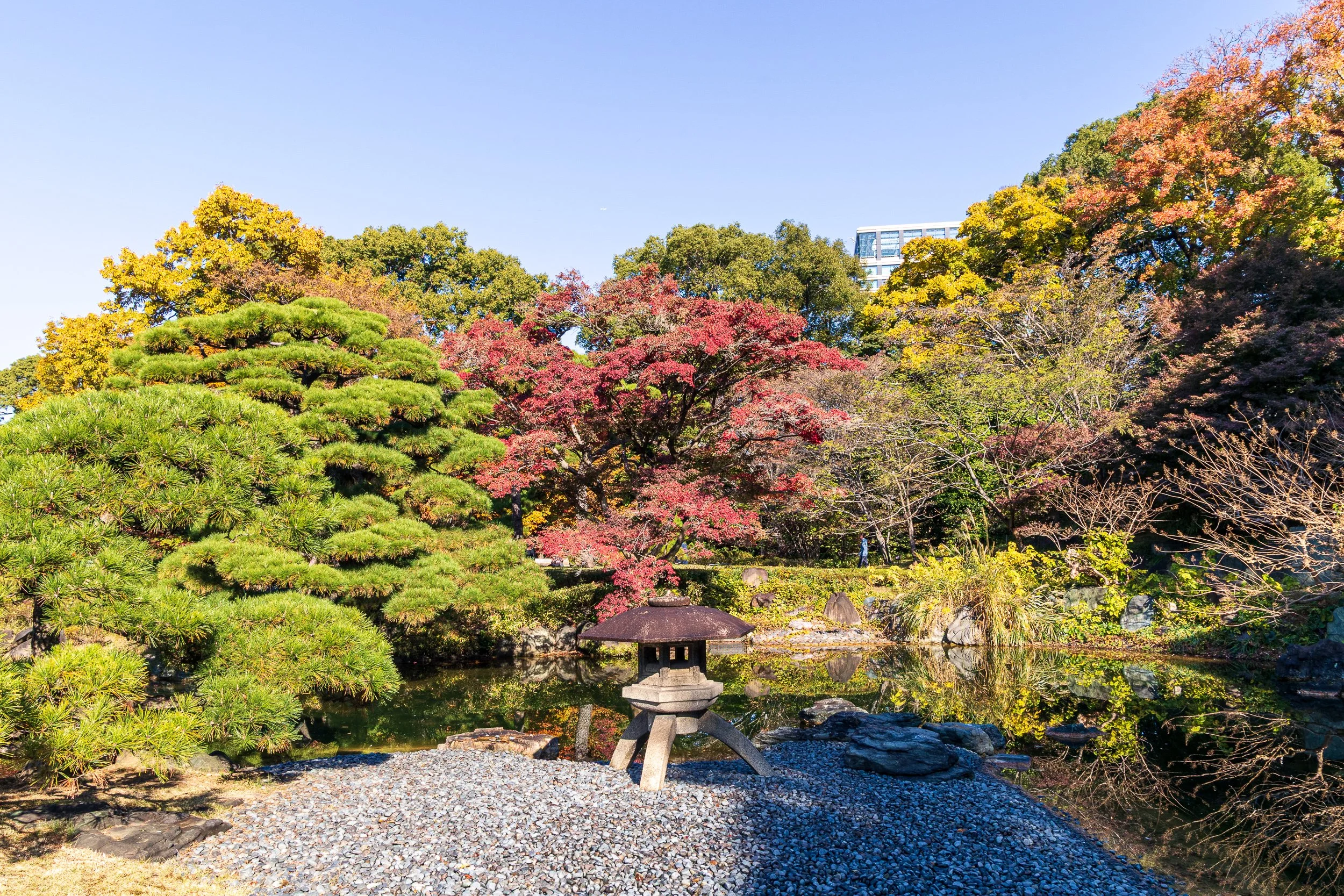 F19A1761_imperial-palace-east-gardens.jpg