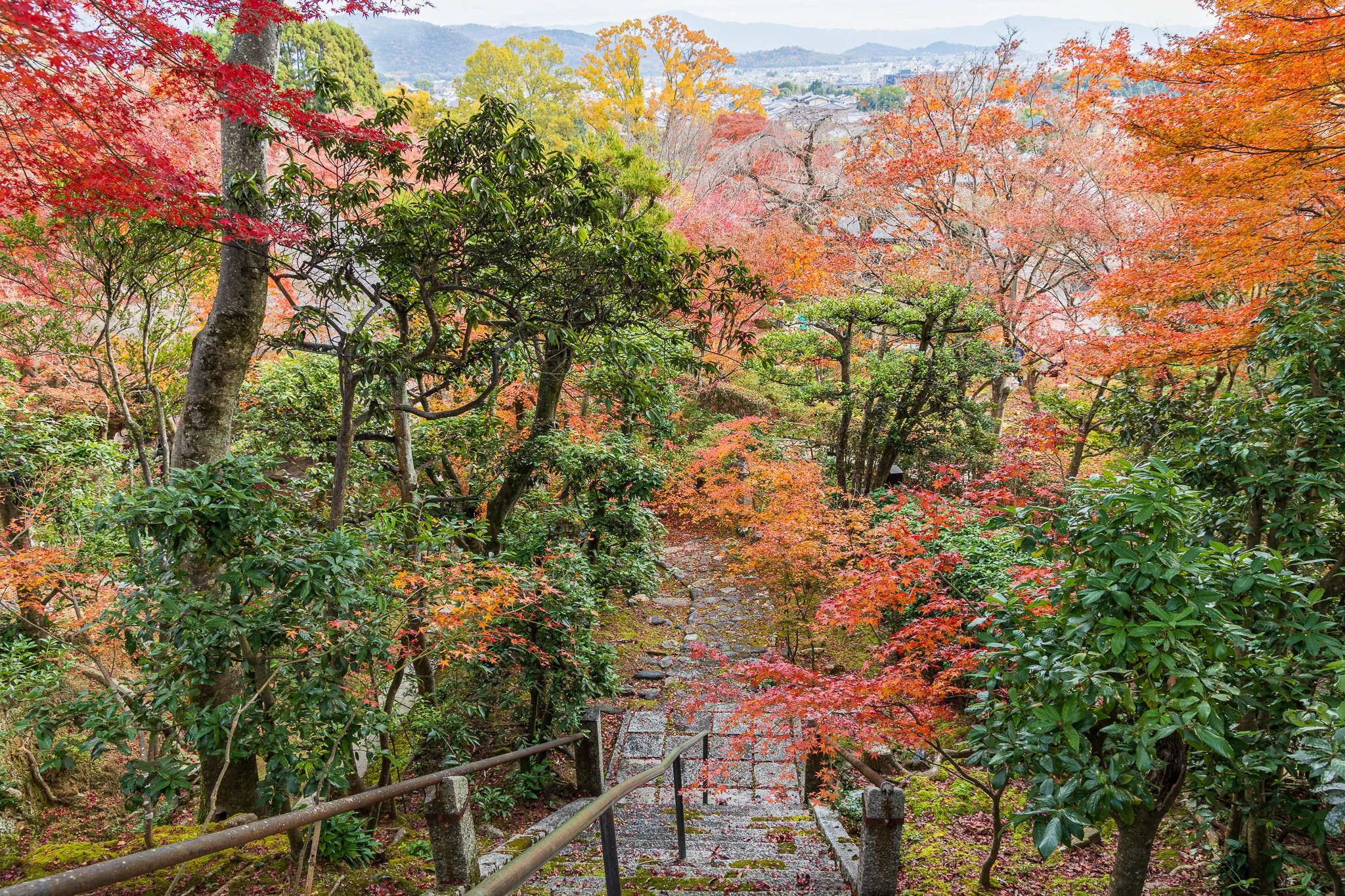 F19A3969_jojakko-ji.jpg